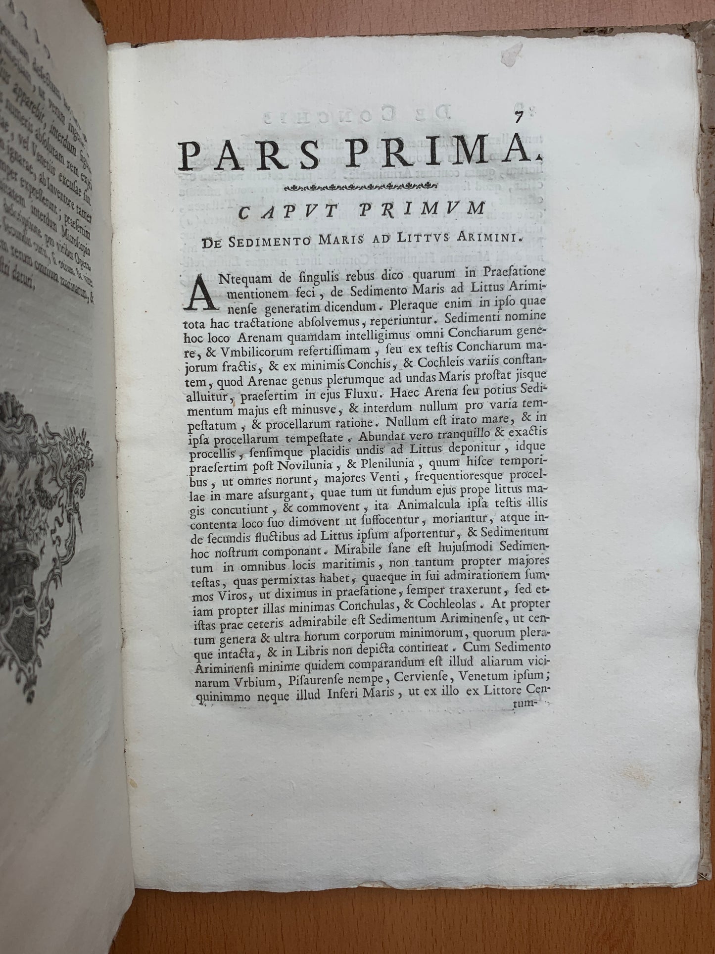 De conchis minus notis liber Cui accessit specimen aestus reciproci maris superi ad littus portumque Arimini - Janus Plancus - Edition originale - 1739