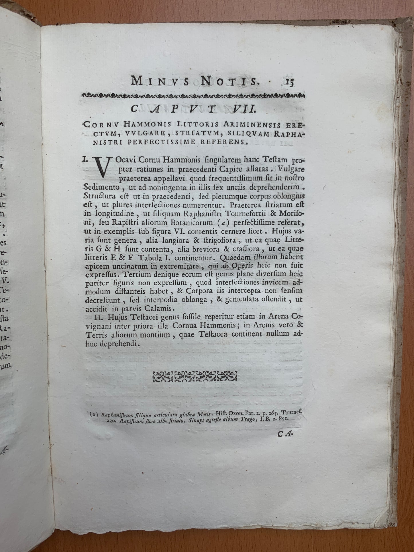 De conchis minus notis liber Cui accessit specimen aestus reciproci maris superi ad littus portumque Arimini - Janus Plancus - Edition originale - 1739