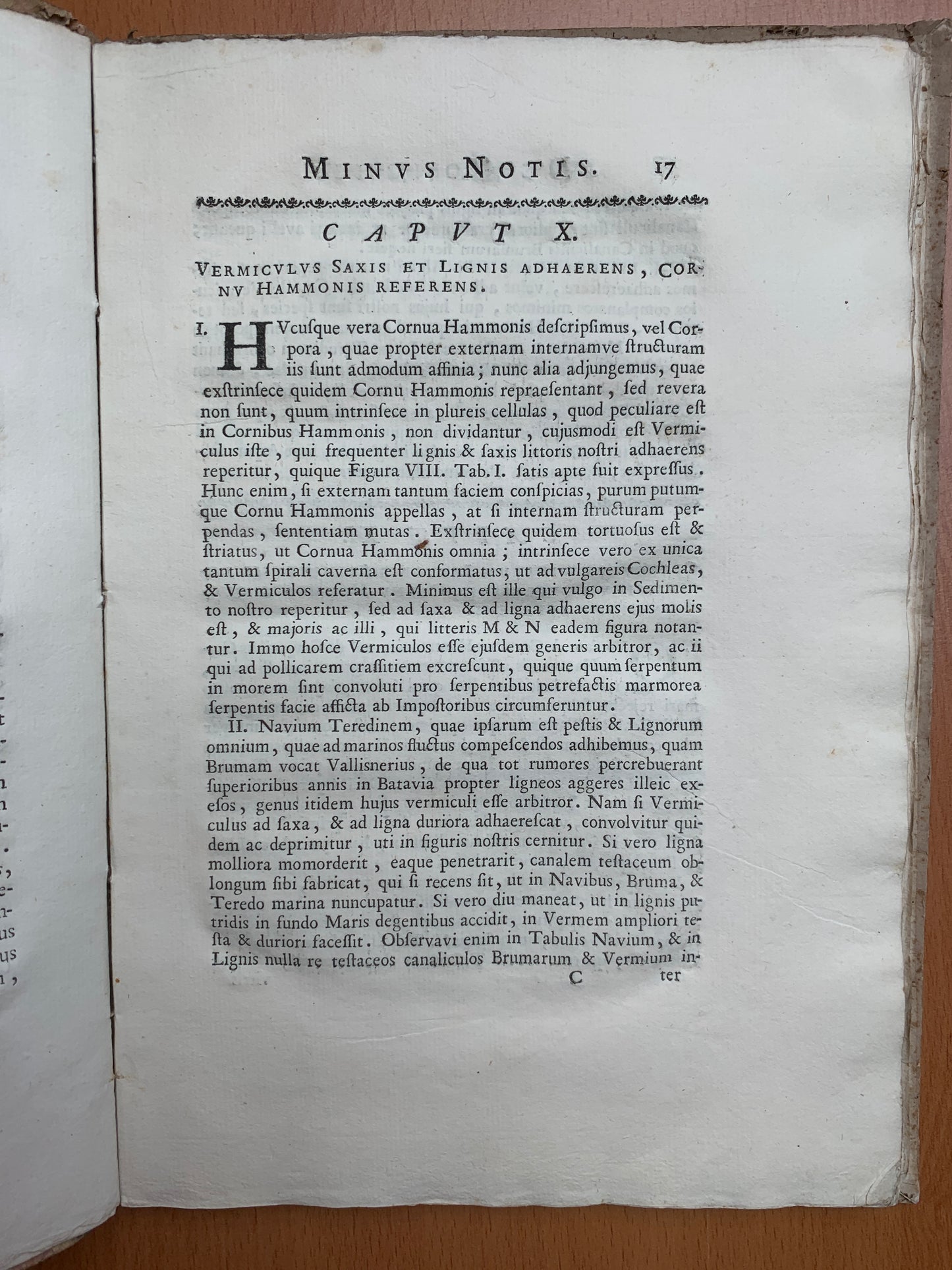 De conchis minus notis liber Cui accessit specimen aestus reciproci maris superi ad littus portumque Arimini - Janus Plancus - Edition originale - 1739