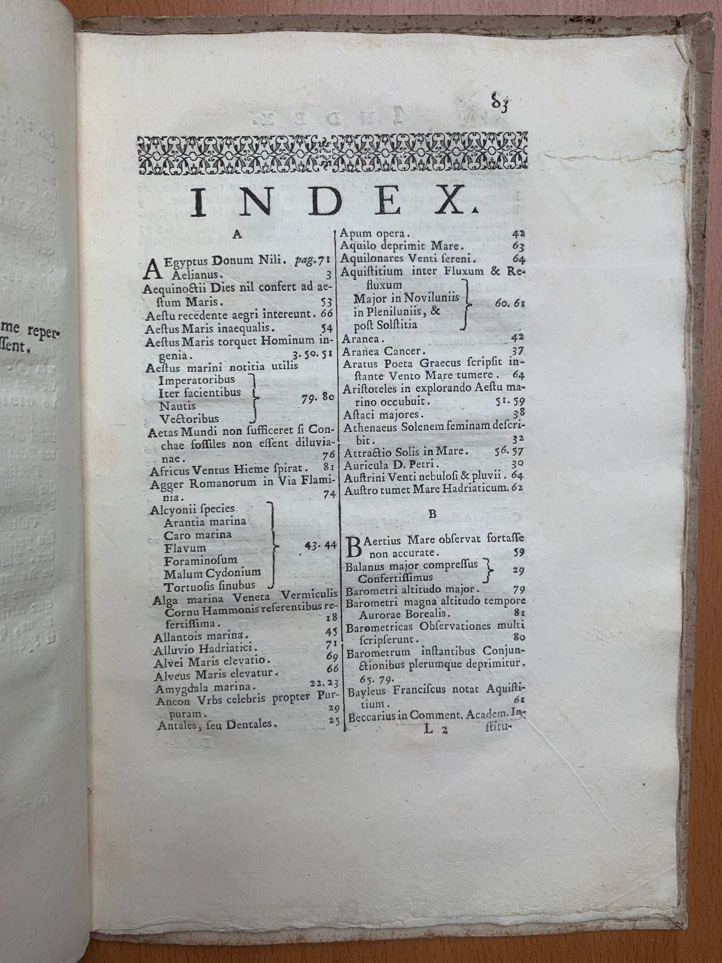 De conchis minus notis liber Cui accessit specimen aestus reciproci maris superi ad littus portumque Arimini - Janus Plancus - Edition originale - 1739