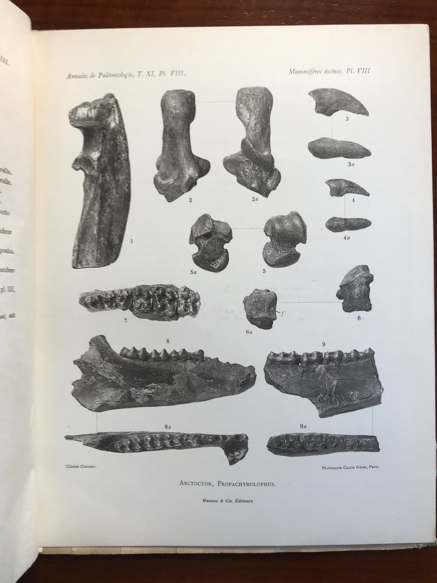 Les mammifères de l'éocène inférieur français et leurs gisements - Pierre Teilhard de Chardin - Edition originale de sa thèse - Envoi autographe - 1922