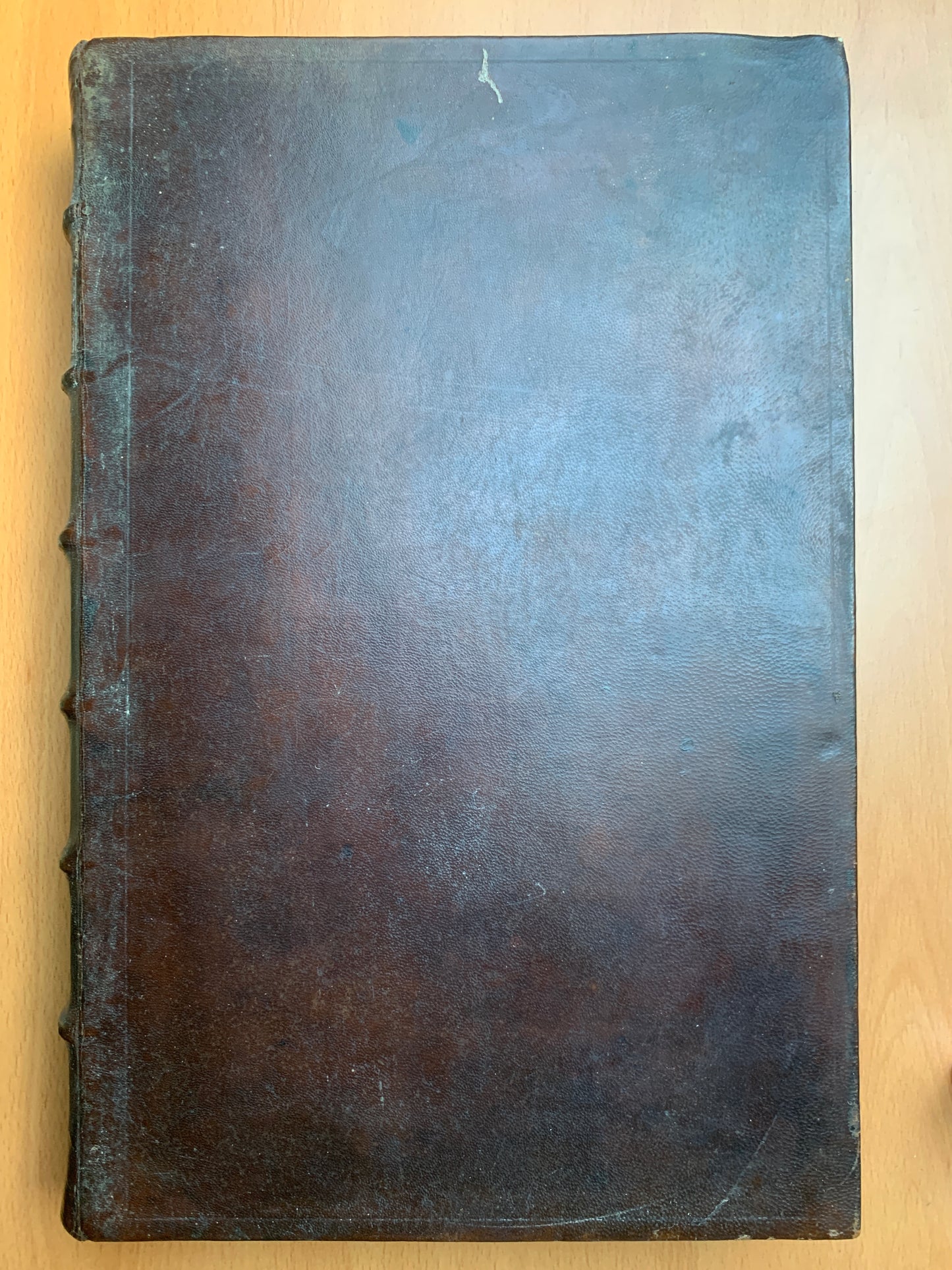 Les images ou tableaux de platte peinture des deux Philostrates sophistes grecs et les statues de Callistrate - Blaise de Vigenère - 1637