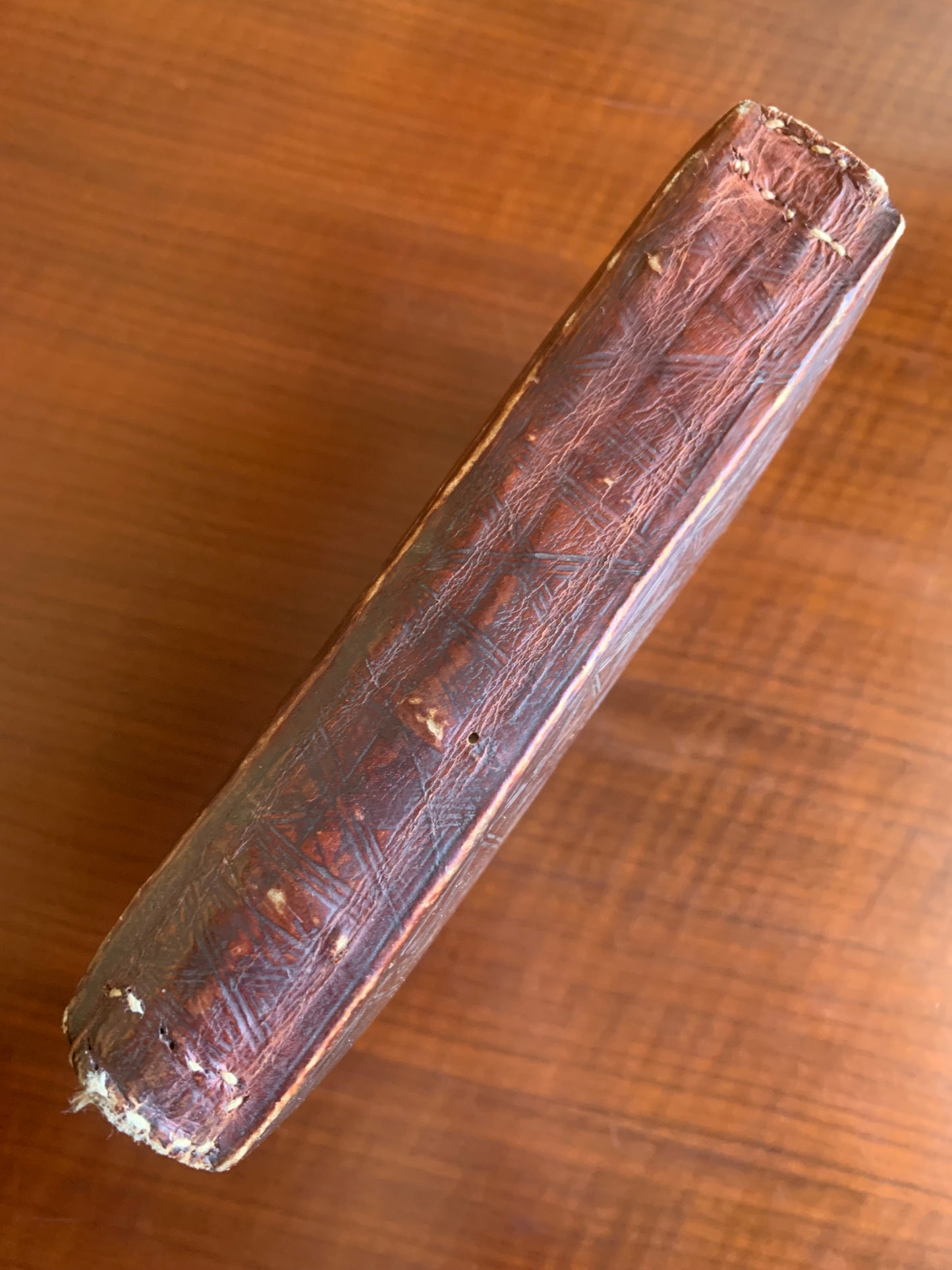 Bible éthiopienne - Manuscrit sur vélin - XIXe