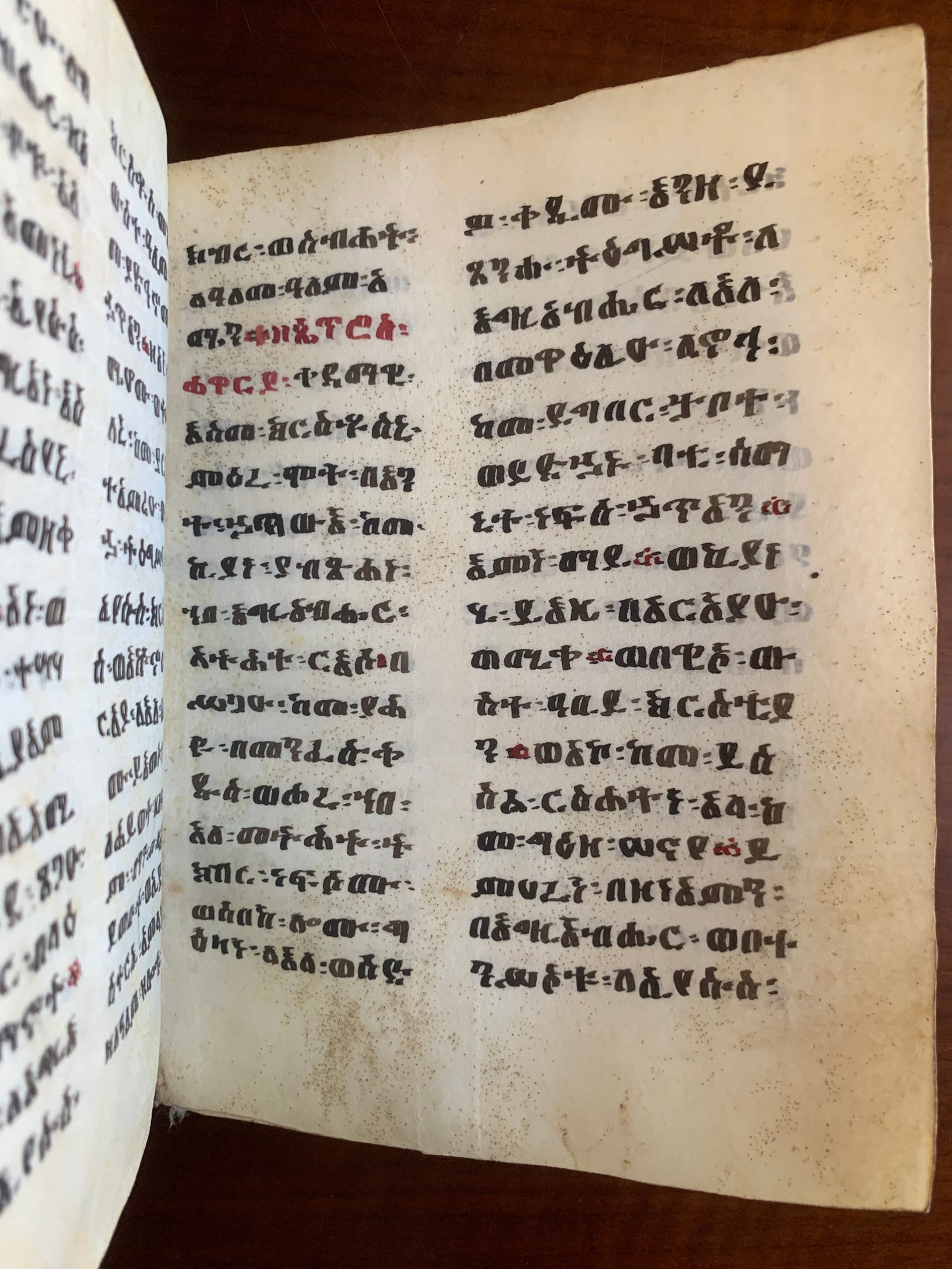 Bible éthiopienne - Manuscrit sur vélin - XIXe