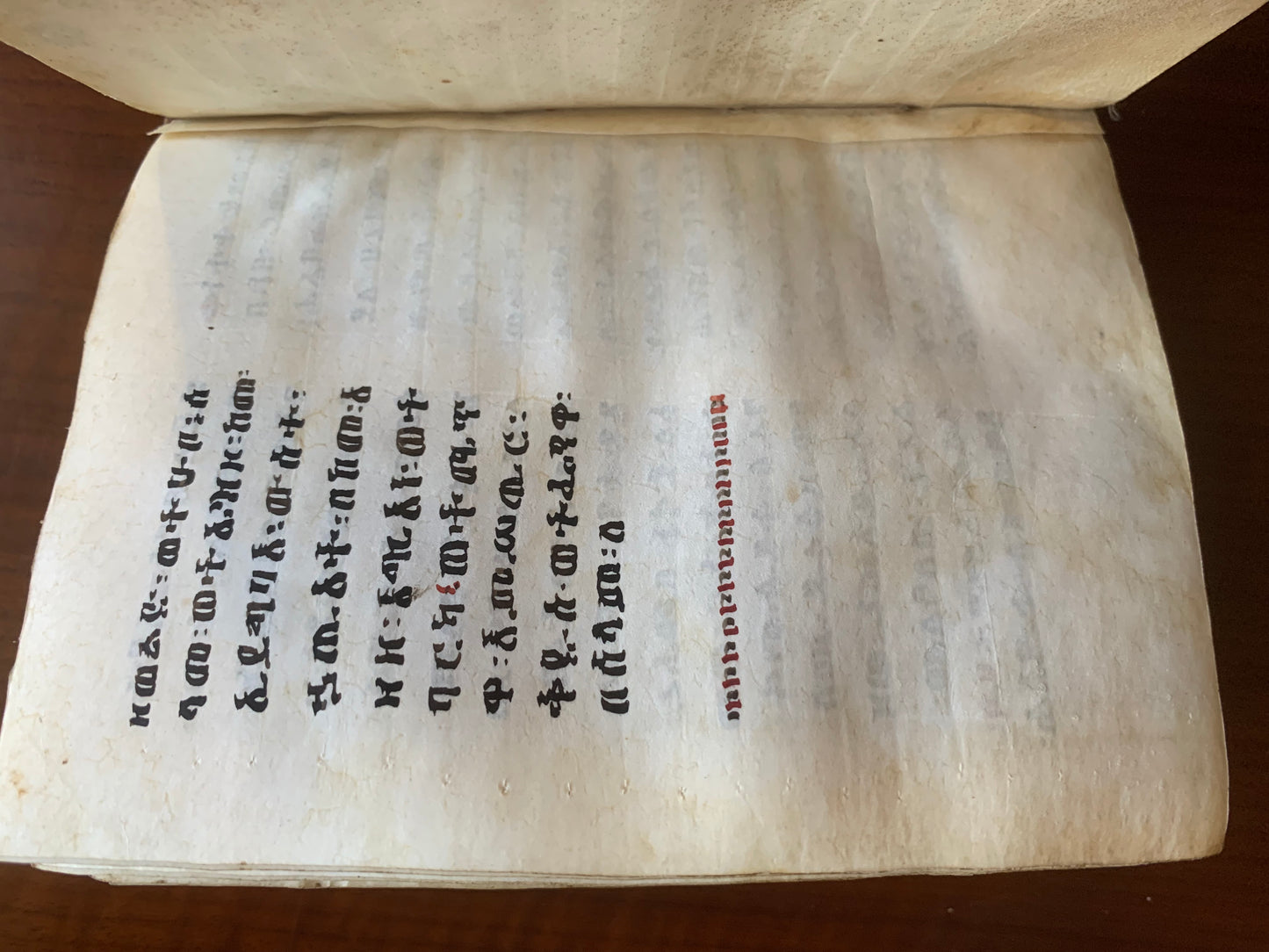 Bible éthiopienne - Manuscrit sur vélin - XIXe