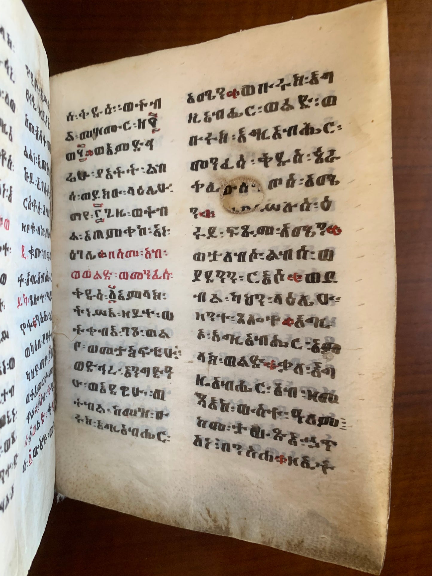 Bible éthiopienne - Manuscrit sur vélin - XIXe