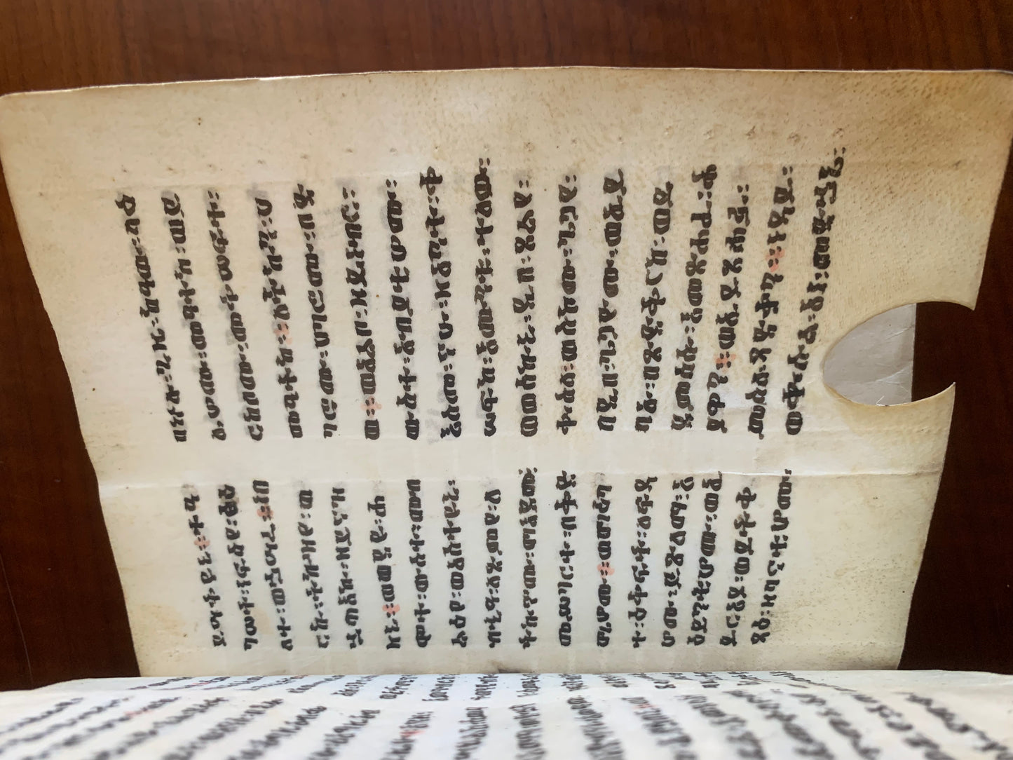 Bible éthiopienne - Manuscrit sur vélin - XIXe