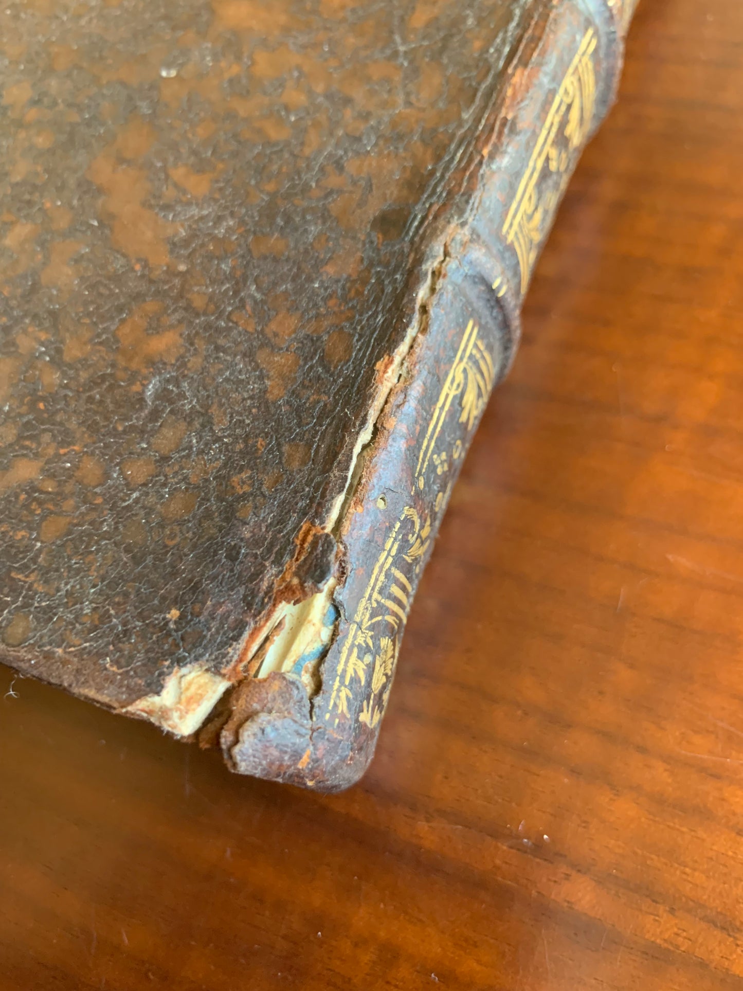 Le livre des Elus - Jésus Christ en Croix - Jean Baptiste Saint Jure - Edition Originale - 1643