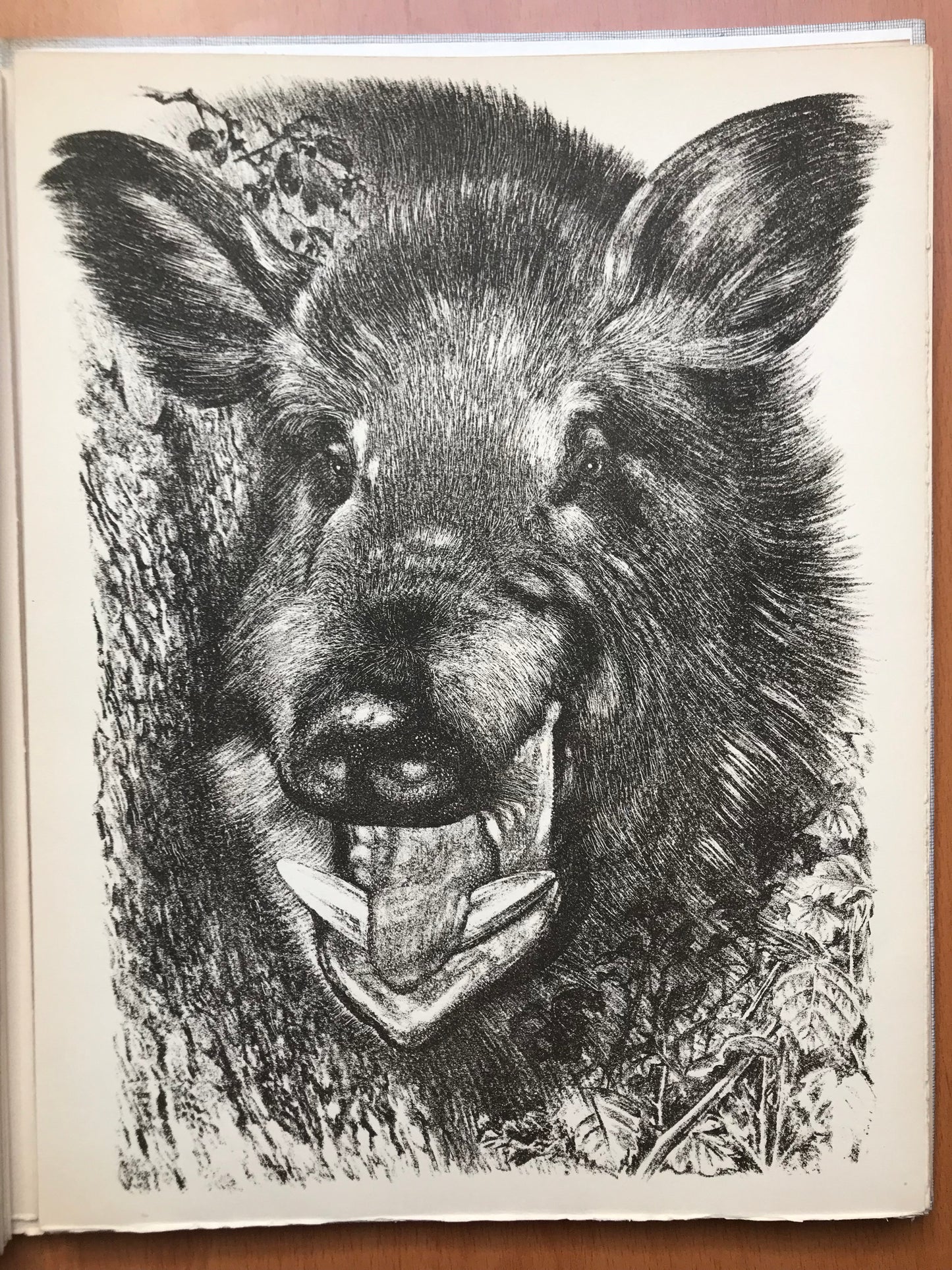 Bestiaire - Jean de la Varende - Envoi autographe - Lithographies de Abel Imblot - 1958