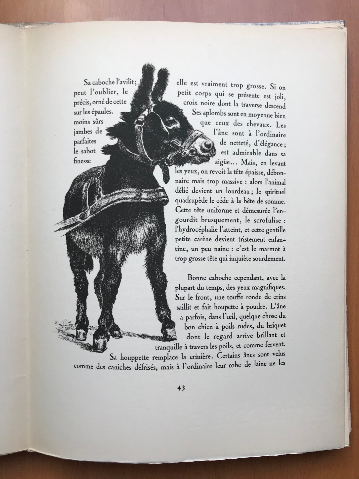 Bestiaire - Jean de la Varende - Envoi autographe - Lithographies de Abel Imblot - 1958