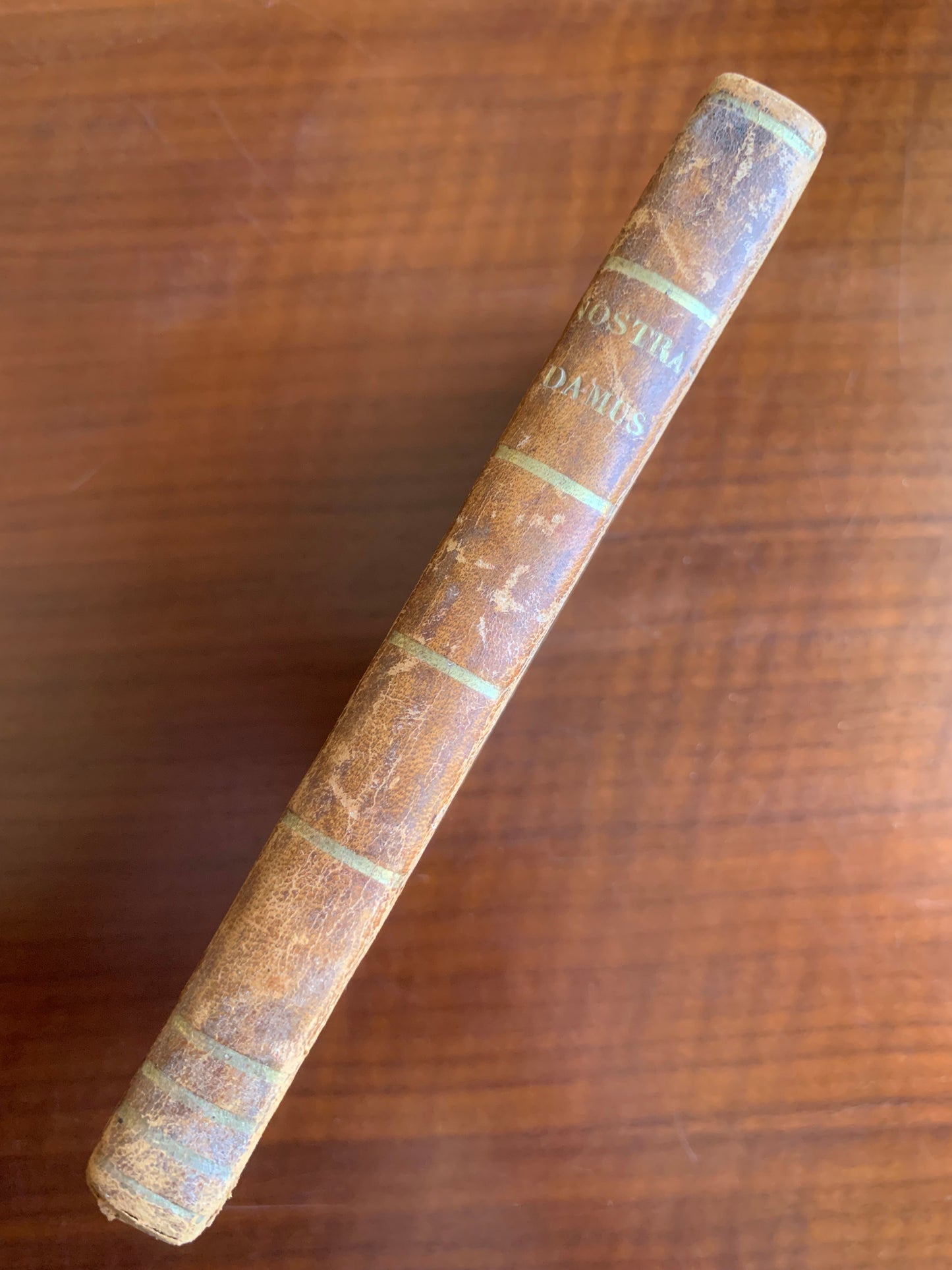 Les vrayes Centuries et Prophéties de Maistre Michel Nostradamus où se voit représenté tout ce qui c'est passé, tant en France, Espagne, Italie, Allemagne, Angleterre, qu'autres parties du Monde - 1690