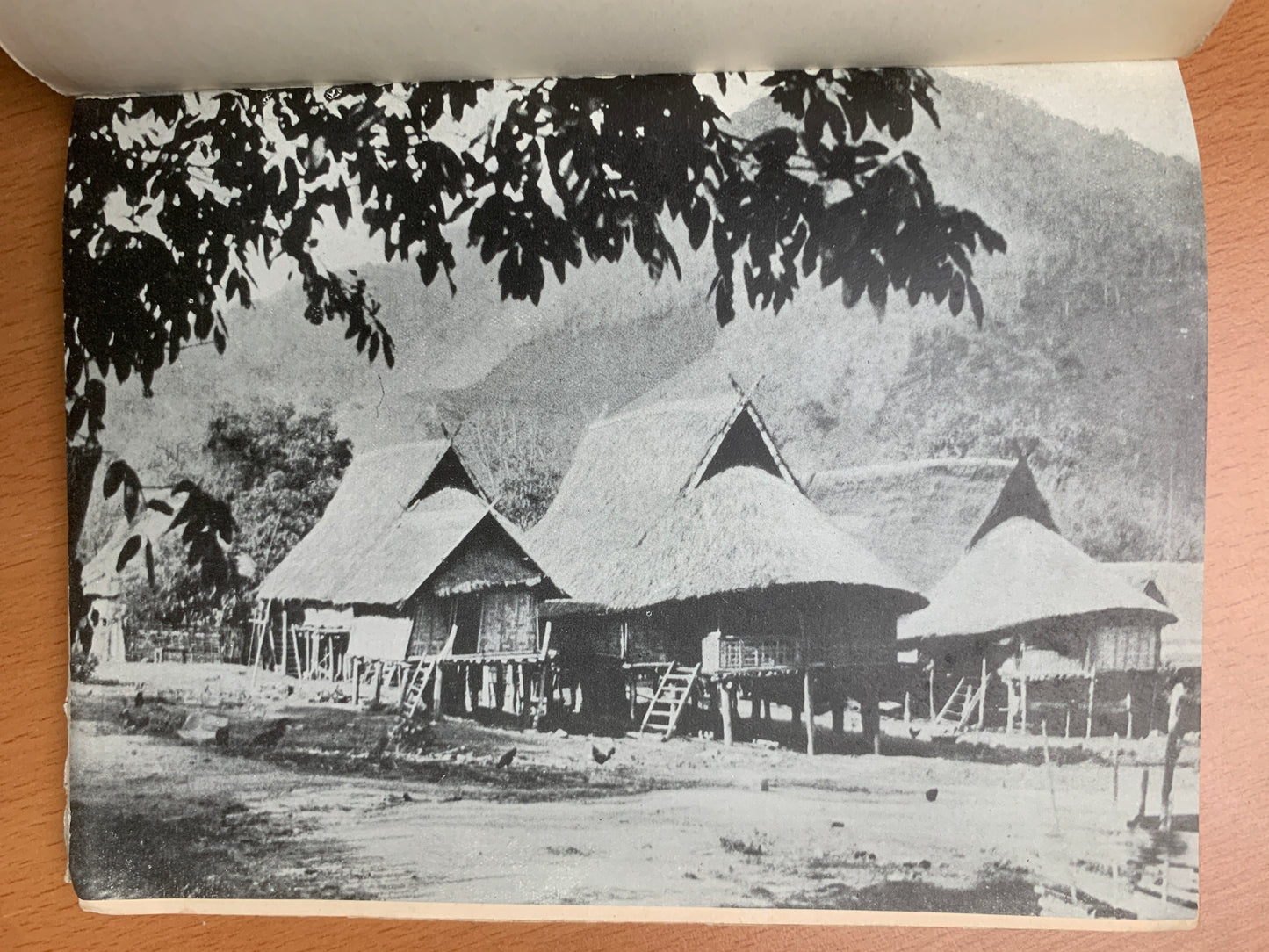 Indochine - Haute région - 36 images instantanées - Cresson - Hanoi - 1942