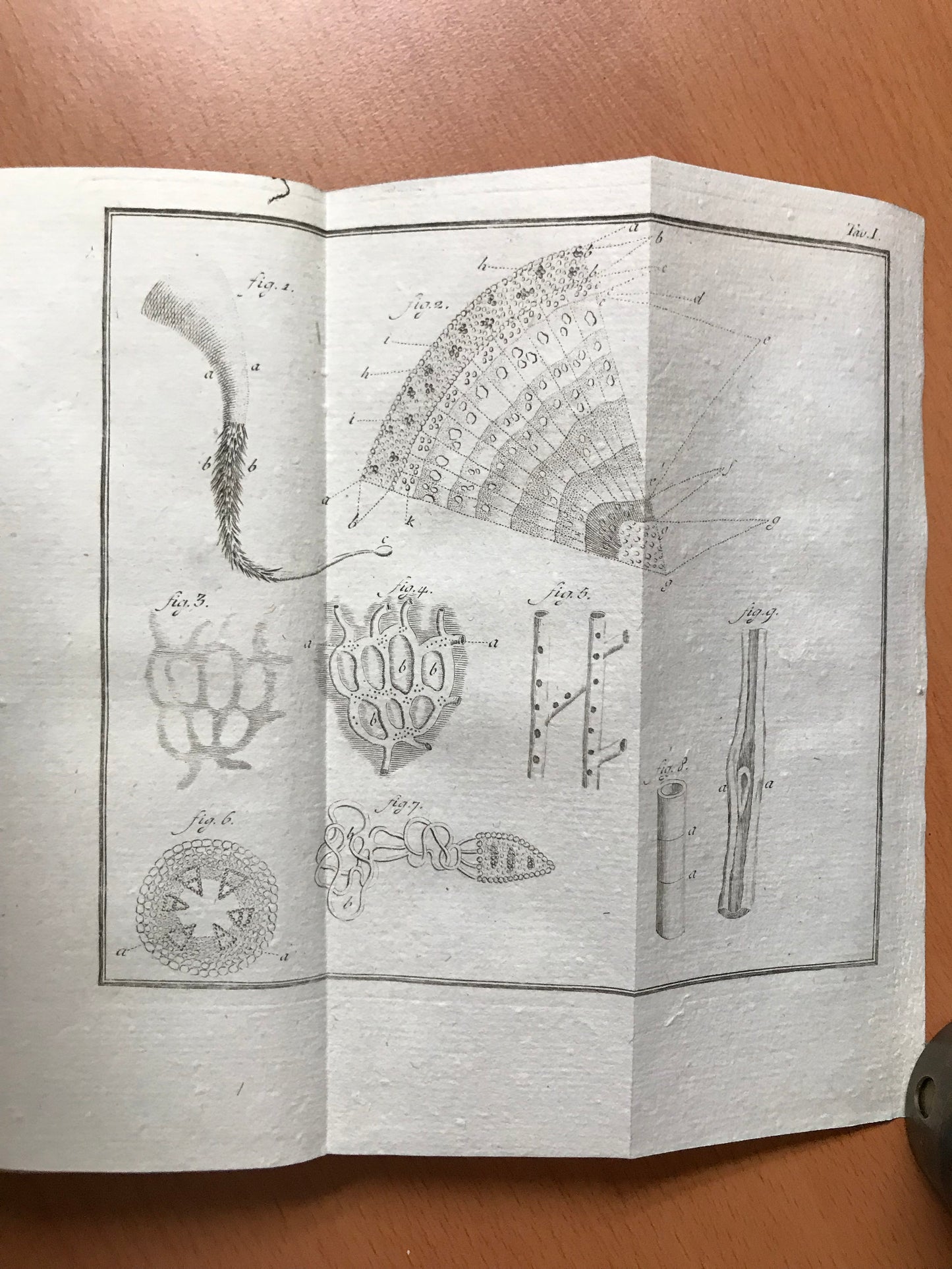 Elementi d'Agricoltura di Lodovico Mitterpacher di Mitternburg - 1794