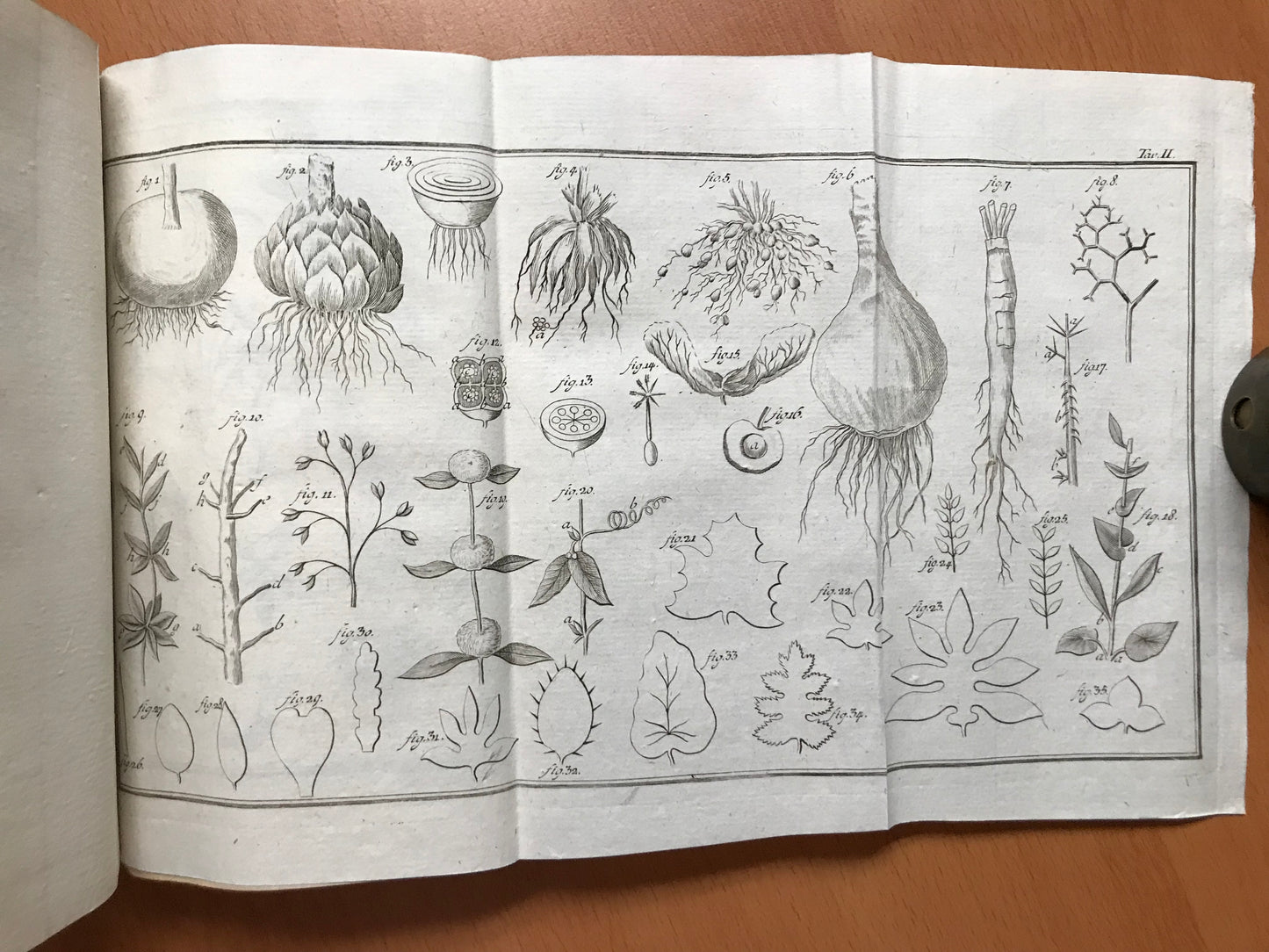 Elementi d'Agricoltura di Lodovico Mitterpacher di Mitternburg - 1794