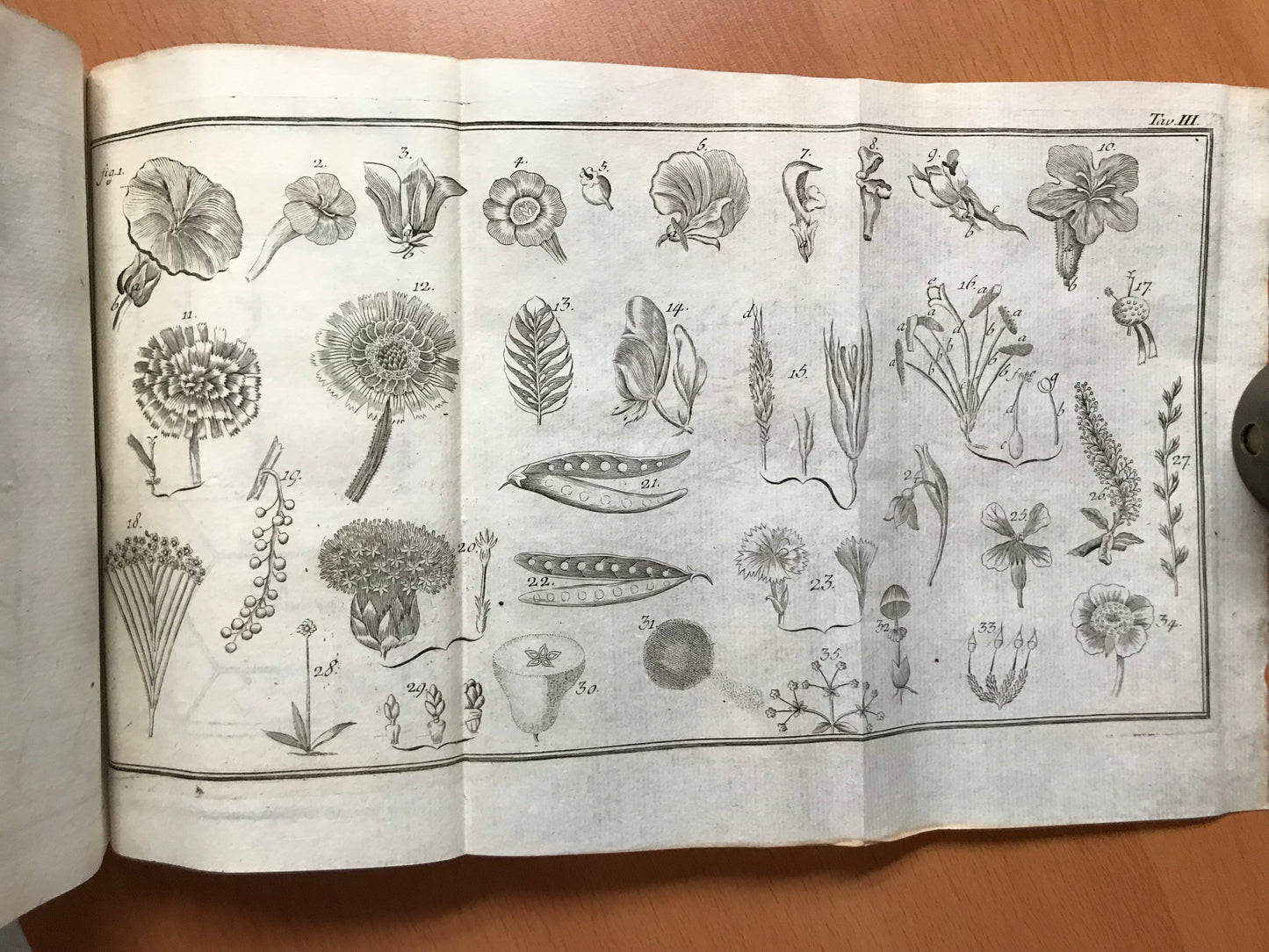 Elementi d'Agricoltura di Lodovico Mitterpacher di Mitternburg - 1794