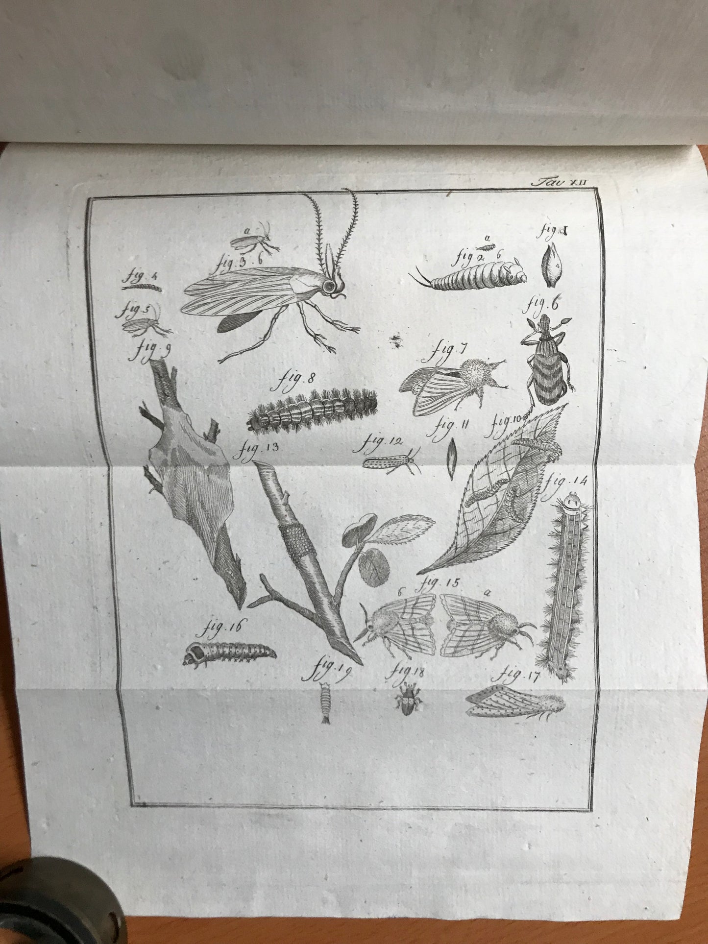 Elementi d'Agricoltura di Lodovico Mitterpacher di Mitternburg - 1794