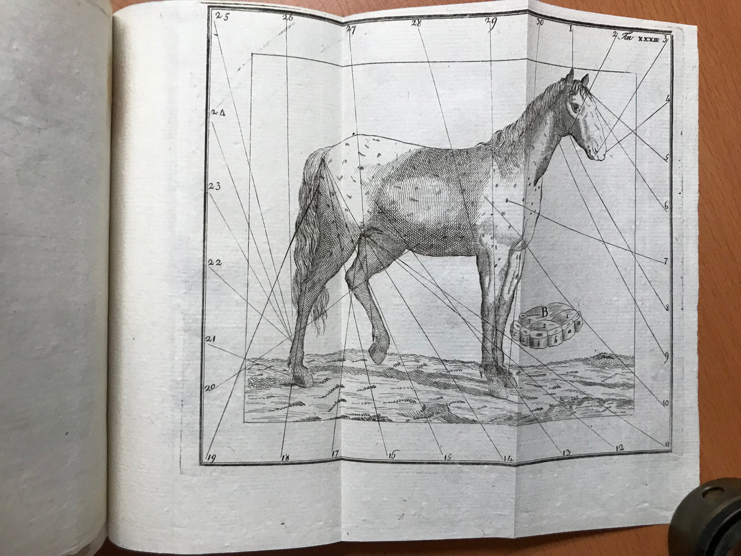 Elementi d'Agricoltura di Lodovico Mitterpacher di Mitternburg - 1794