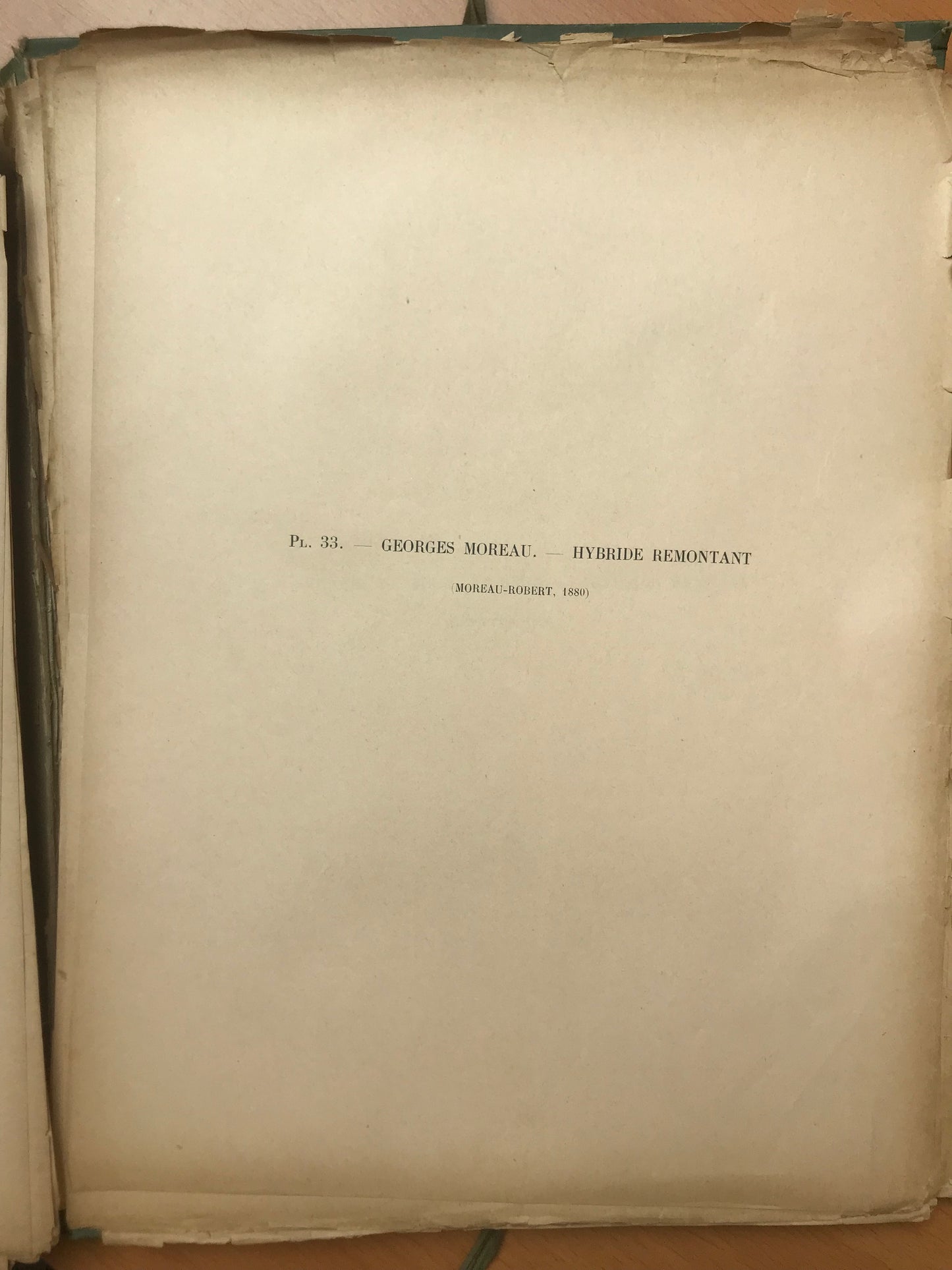 Le Livre d'or des Roses - Paul Hariot - 54 planches Chromolithographies - 1905