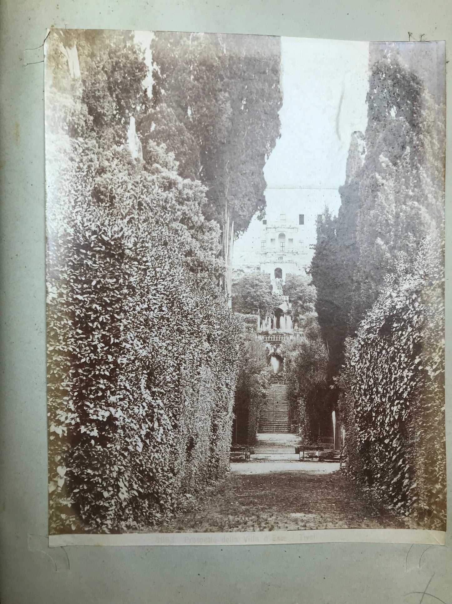 Eléments d'Architecture Italie - Album de 206 photographies - c 1880