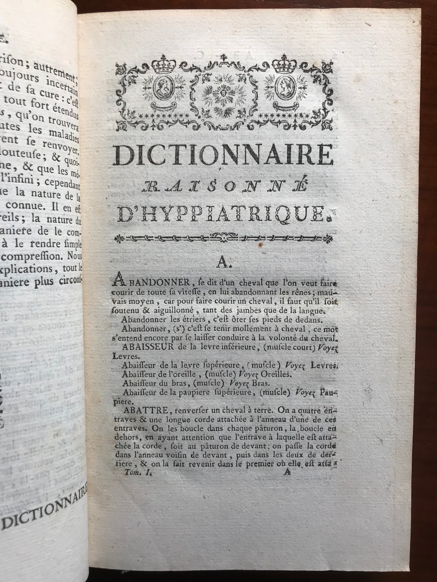 Dictionnaire raisonné d'hippiatrique, cavalerie, manège et maréchalerie - Lafosse - 1776