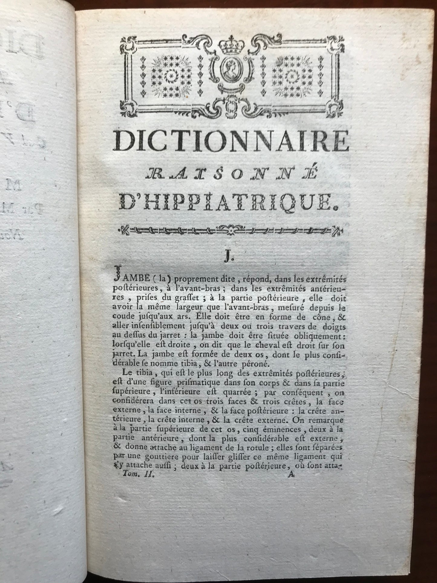 Dictionnaire raisonné d'hippiatrique, cavalerie, manège et maréchalerie - Lafosse - 1776