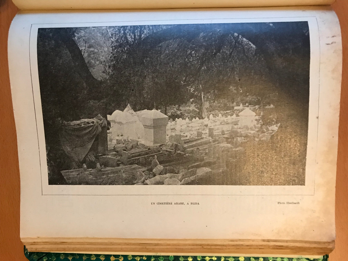 Almanach Africain Illustré - Maroc Algérie Tunisie - 1910