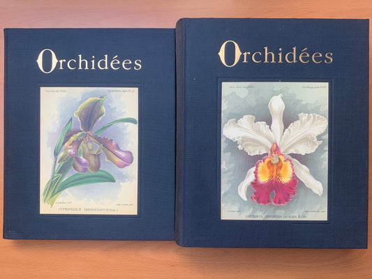 Orchidées - Dictionnaire iconographique - Cogniaux et Goossens - 1990