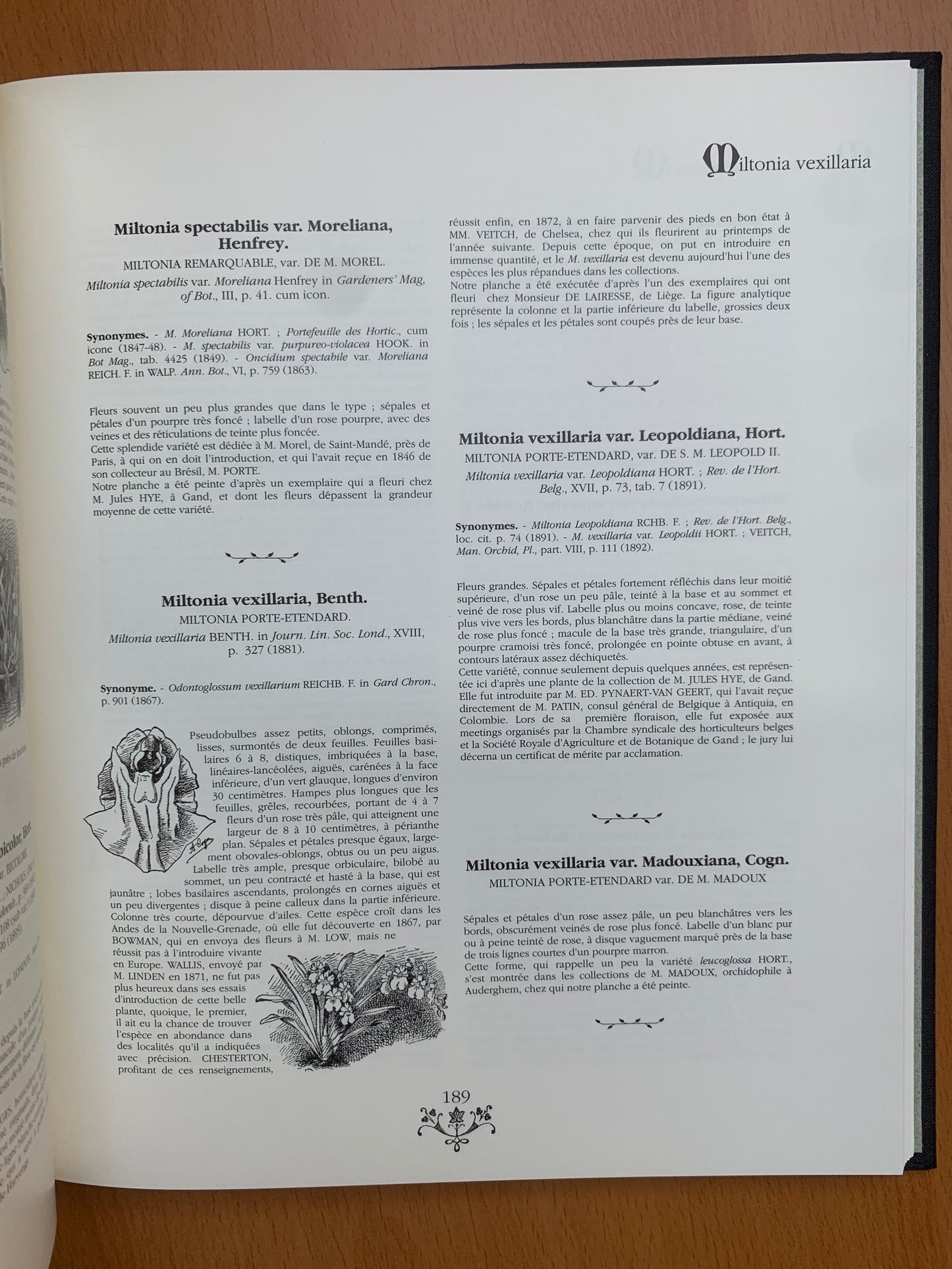 Orchidées - Dictionnaire iconographique - Cogniaux et Goossens - 1990