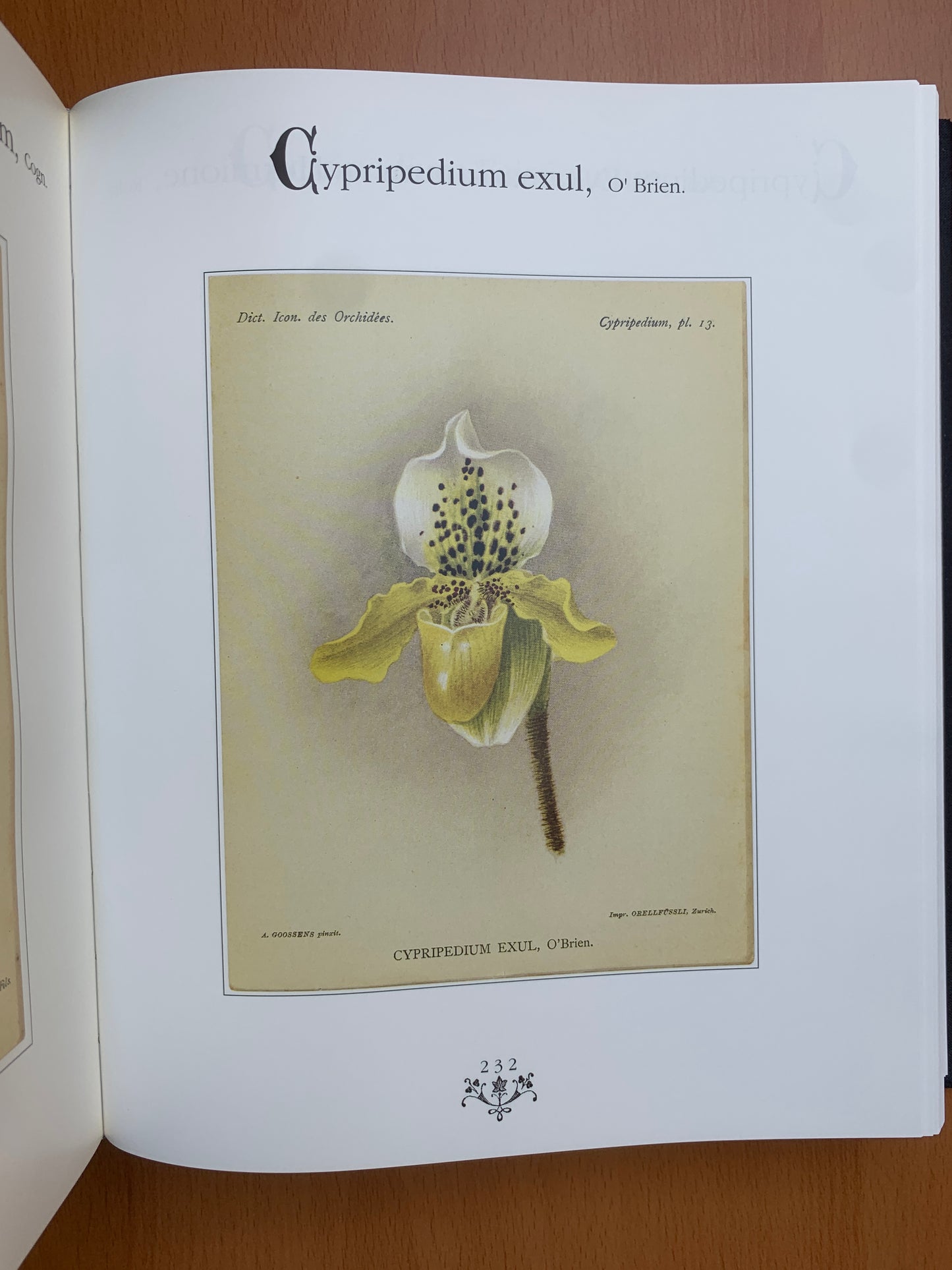 Orchidées - Dictionnaire iconographique - Cogniaux et Goossens - 1990