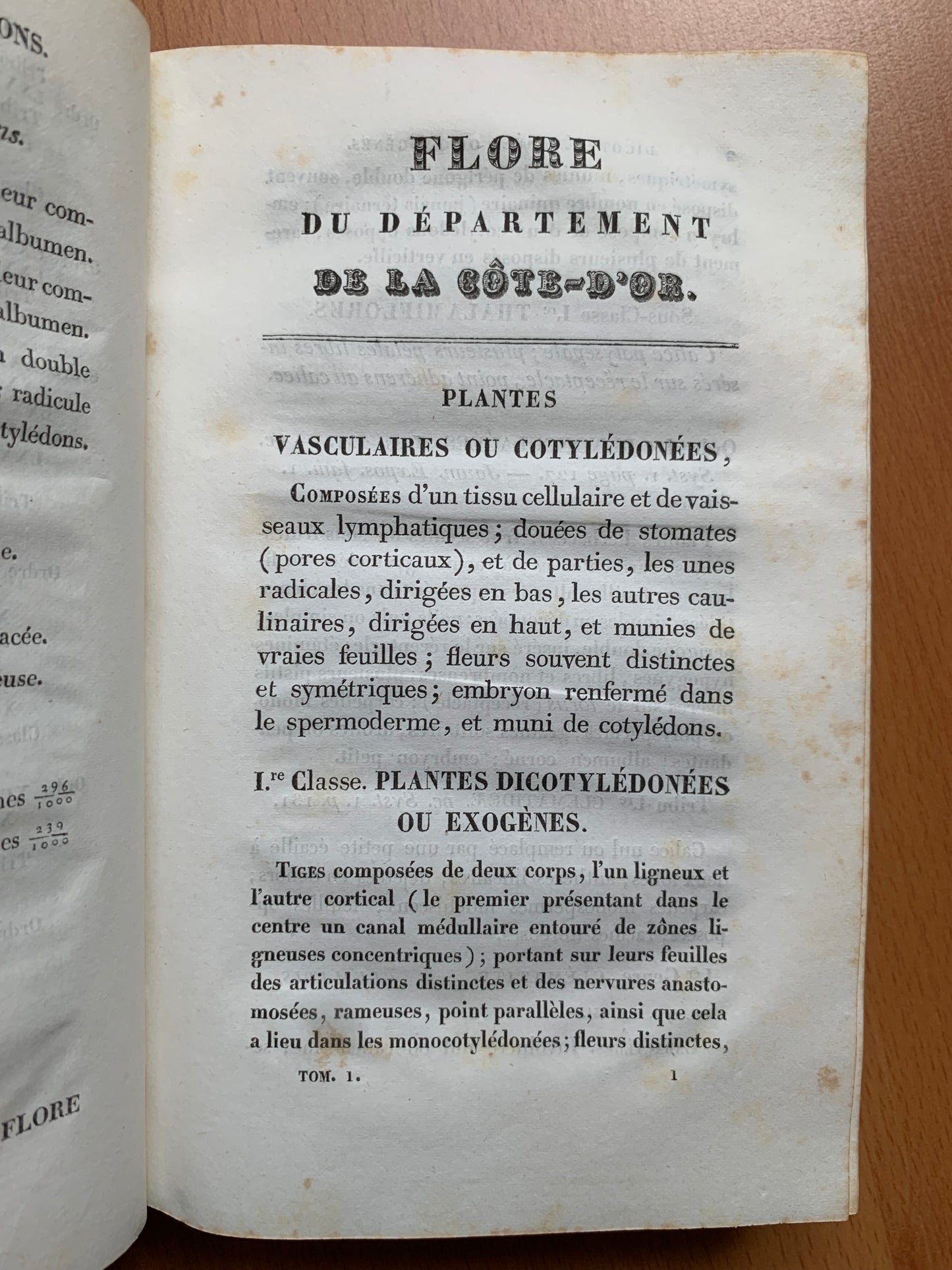 Flore de la Côte d'Or ou Description des plantes indigènes et des espèces le plus généralement cultivées et acclimatées, observées jusqu'à ce jour dans ce département disposées selon la méthode naturelle de Jussieu. Lorey et Duret - 1831