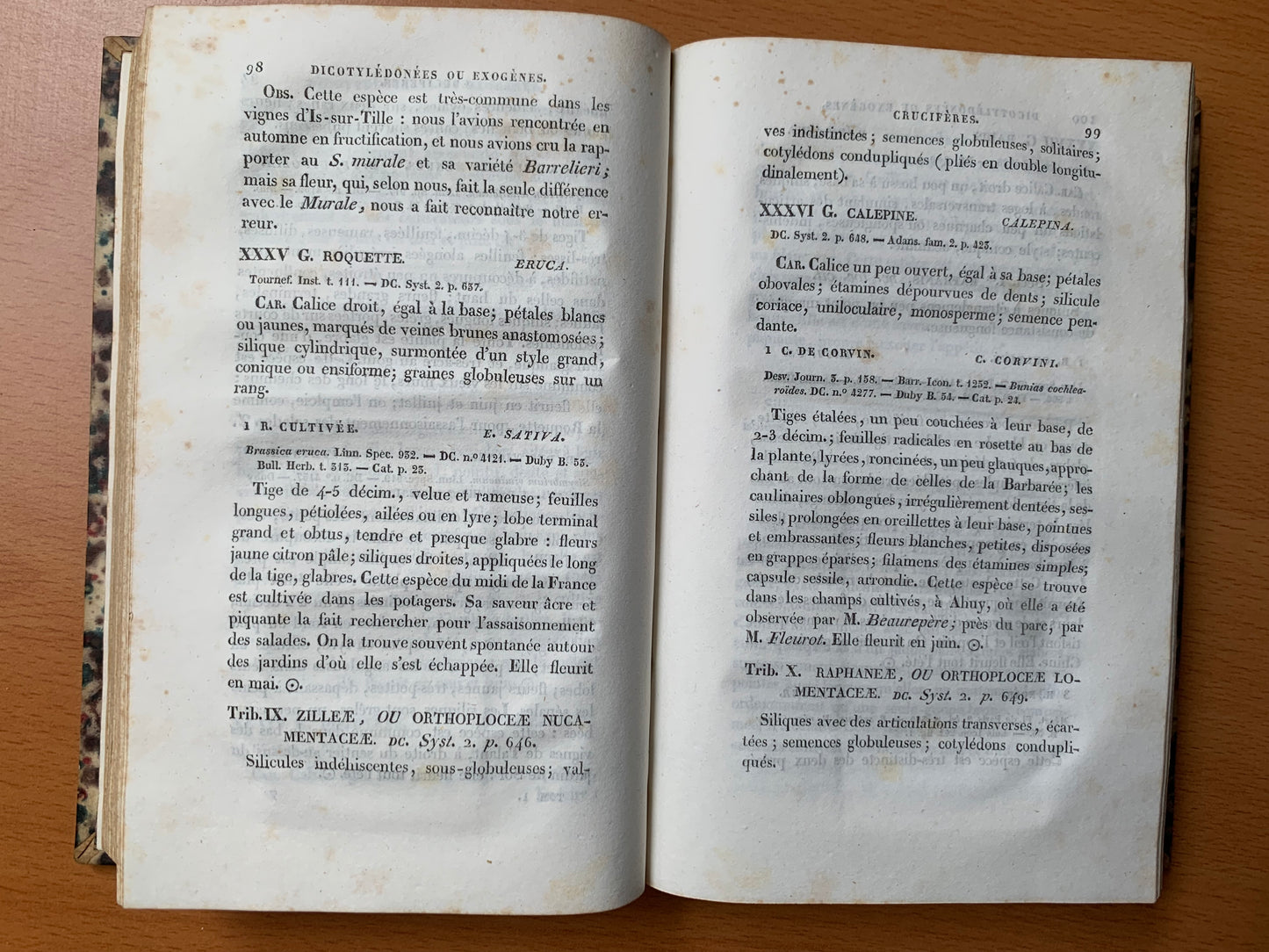 Flore de la Côte d'Or ou Description des plantes indigènes et des espèces le plus généralement cultivées et acclimatées, observées jusqu'à ce jour dans ce département disposées selon la méthode naturelle de Jussieu. Lorey et Duret - 1831