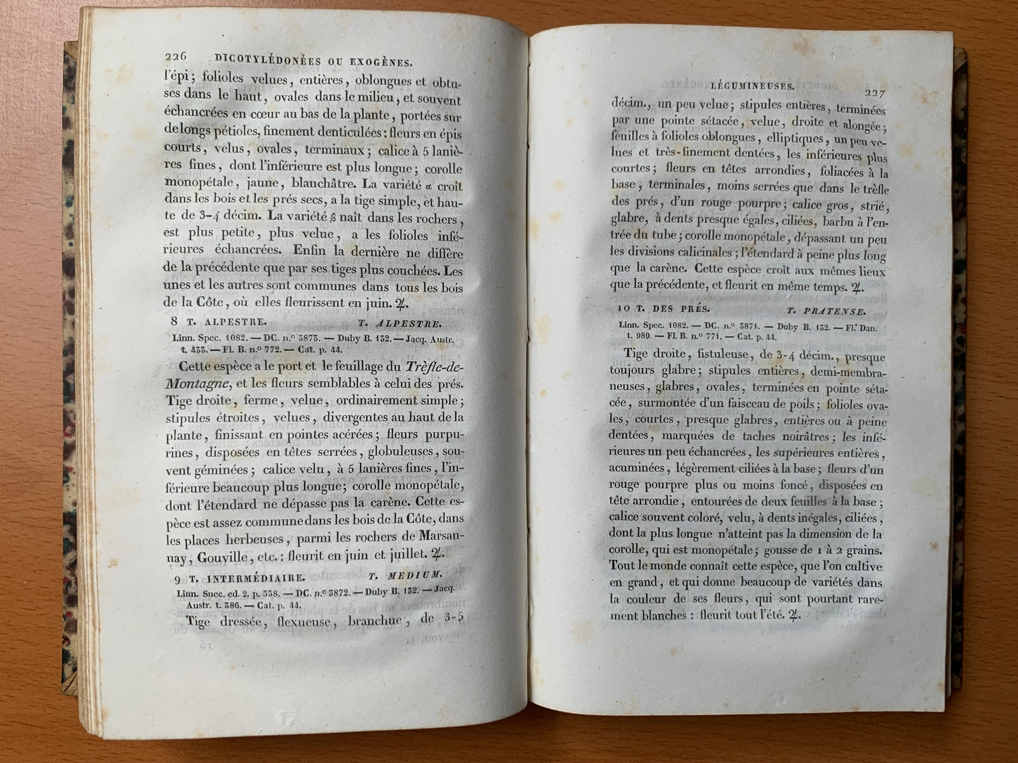 Flore de la Côte d'Or ou Description des plantes indigènes et des espèces le plus généralement cultivées et acclimatées, observées jusqu'à ce jour dans ce département disposées selon la méthode naturelle de Jussieu. Lorey et Duret - 1831