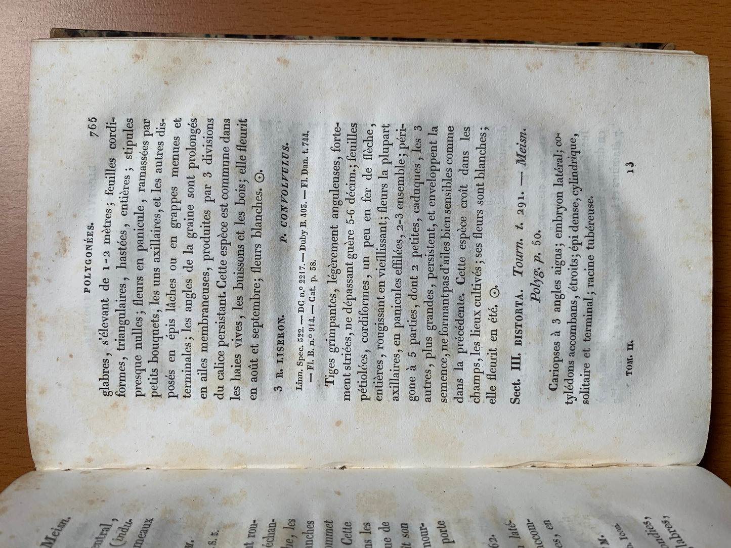 Flore de la Côte d'Or ou Description des plantes indigènes et des espèces le plus généralement cultivées et acclimatées, observées jusqu'à ce jour dans ce département disposées selon la méthode naturelle de Jussieu. Lorey et Duret - 1831