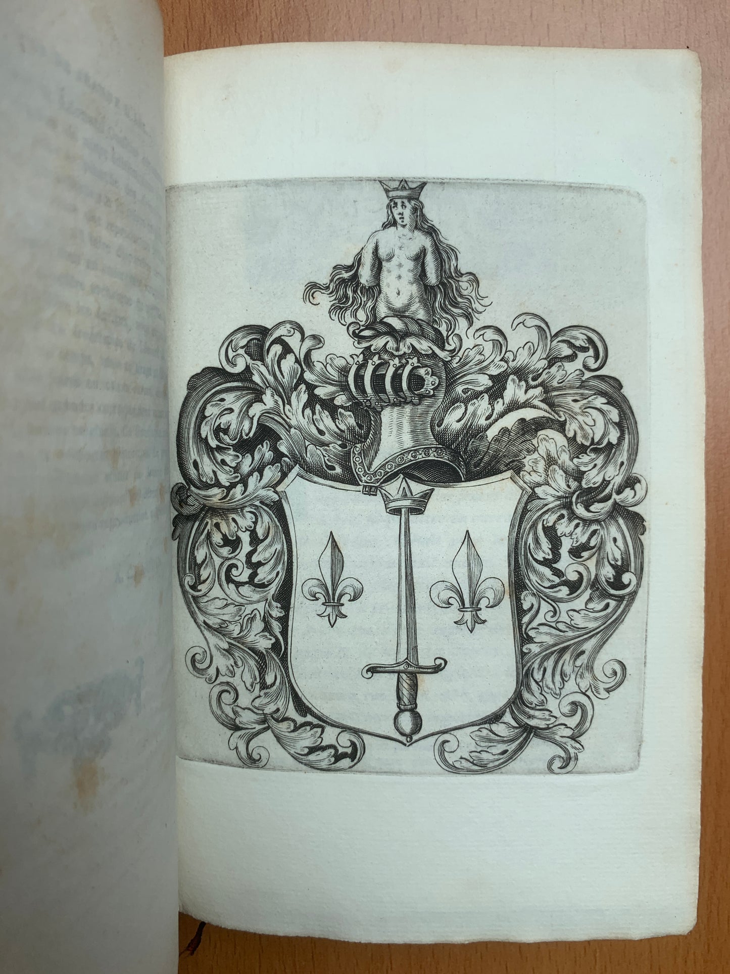 La famille de Jeanne d'Arc - Généalogie - Bouteiller et Braux - 1878