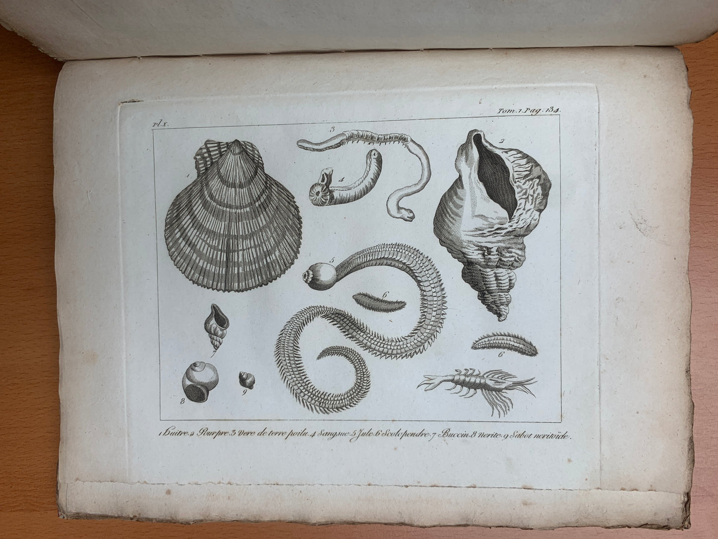 Atlas du Voyage en Islande fait par ordre de S.M. Danoise - Eggert Olafsson - 1802
