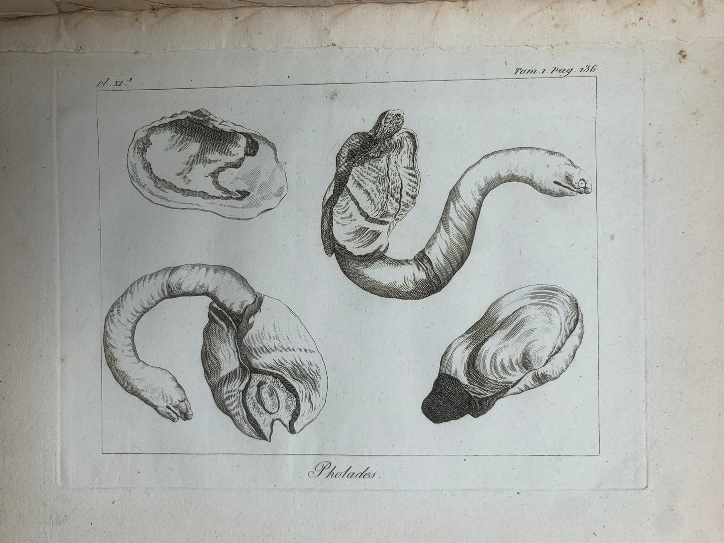 Atlas du Voyage en Islande fait par ordre de S.M. Danoise - Eggert Olafsson - 1802