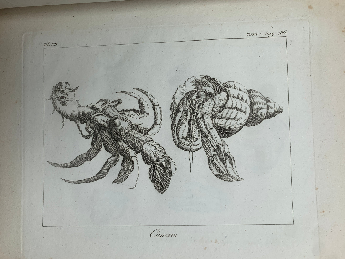 Atlas du Voyage en Islande fait par ordre de S.M. Danoise - Eggert Olafsson - 1802