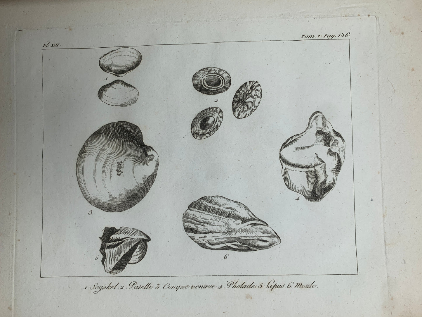 Atlas du Voyage en Islande fait par ordre de S.M. Danoise - Eggert Olafsson - 1802