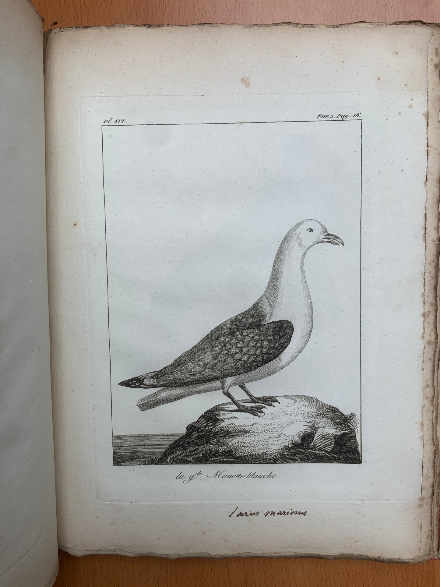 Atlas du Voyage en Islande fait par ordre de S.M. Danoise - Eggert Olafsson - 1802
