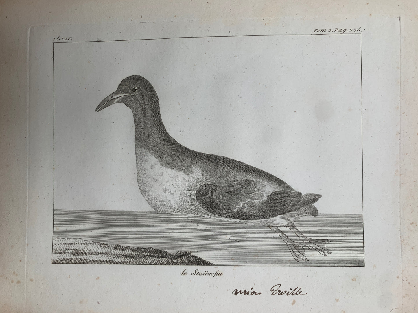 Atlas du Voyage en Islande fait par ordre de S.M. Danoise - Eggert Olafsson - 1802