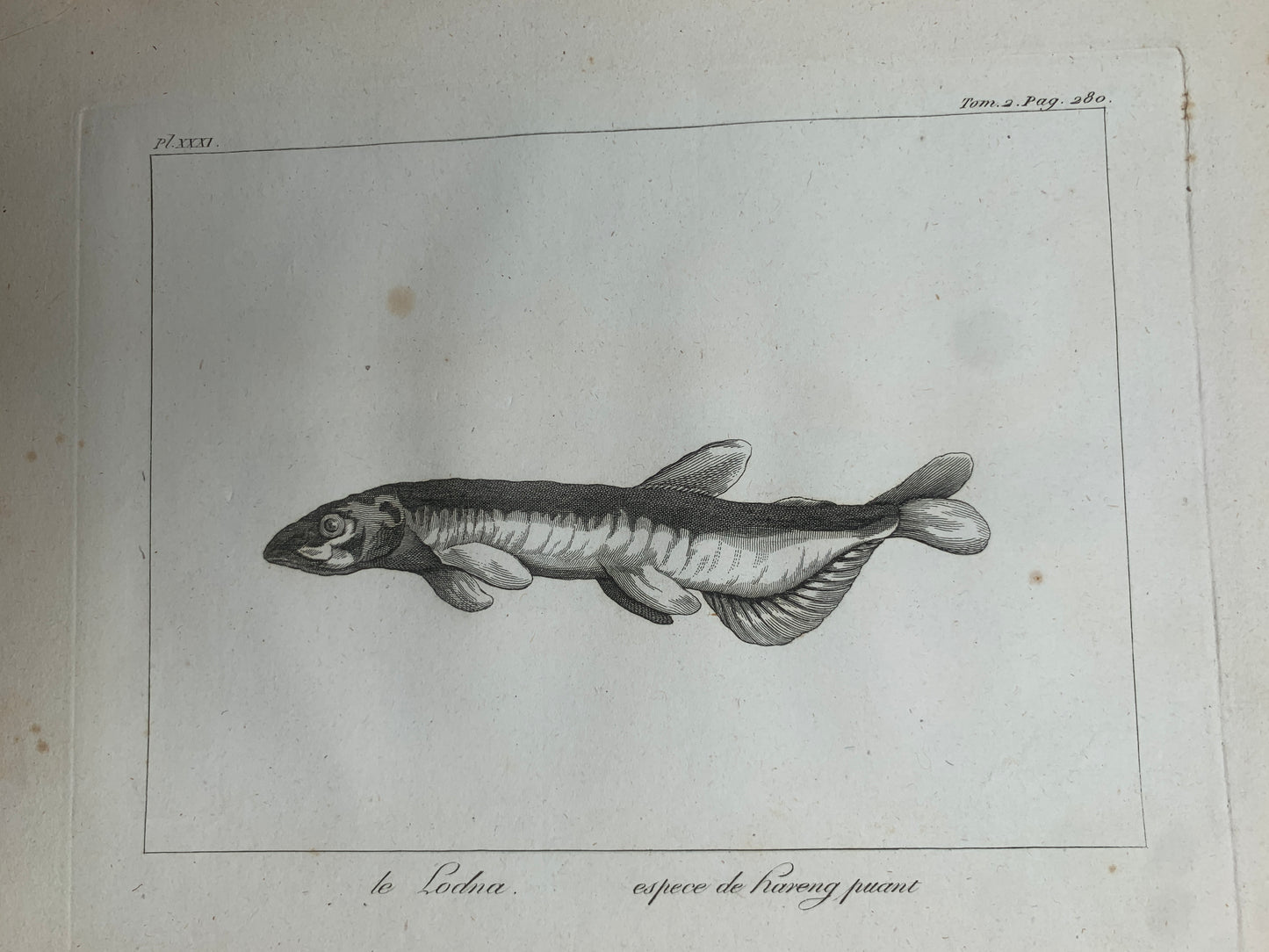 Atlas du Voyage en Islande fait par ordre de S.M. Danoise - Eggert Olafsson - 1802