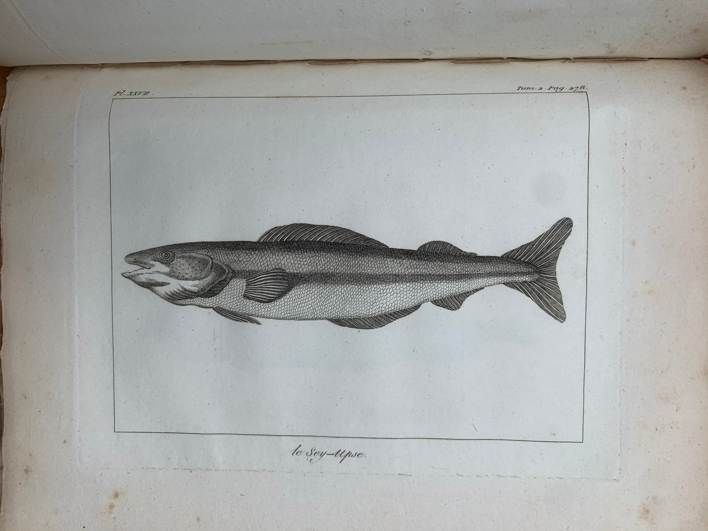 Atlas du Voyage en Islande fait par ordre de S.M. Danoise - Eggert Olafsson - 1802