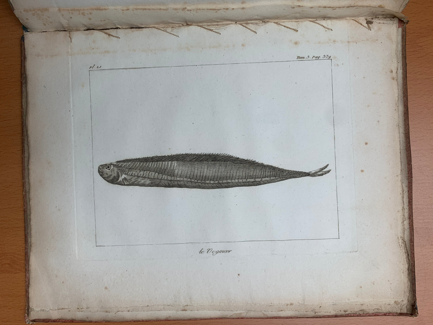 Atlas du Voyage en Islande fait par ordre de S.M. Danoise - Eggert Olafsson - 1802
