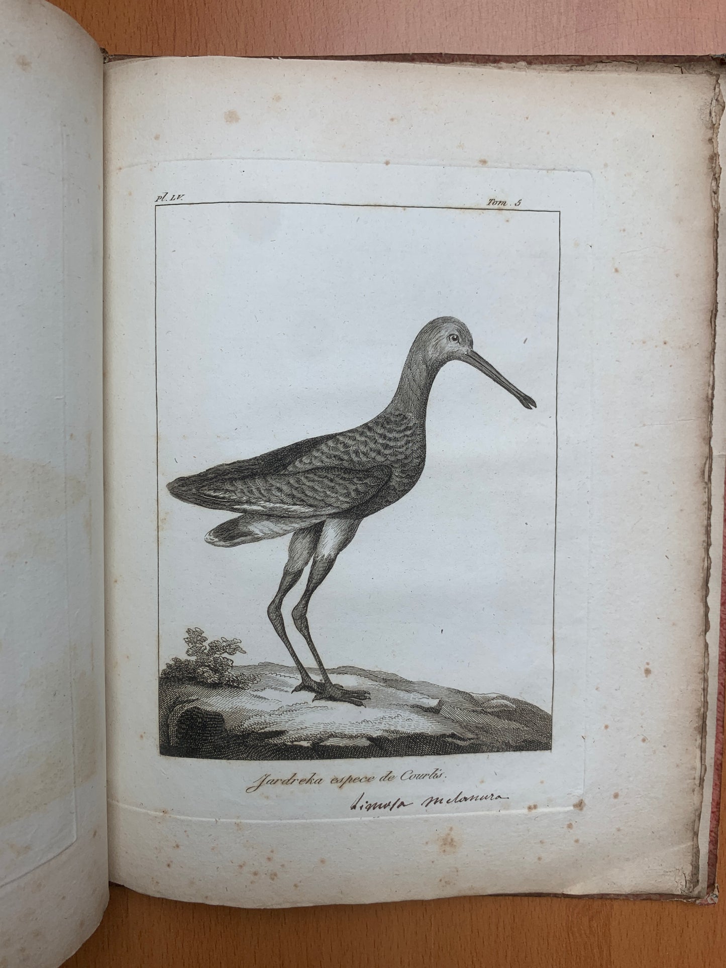 Atlas du Voyage en Islande fait par ordre de S.M. Danoise - Eggert Olafsson - 1802