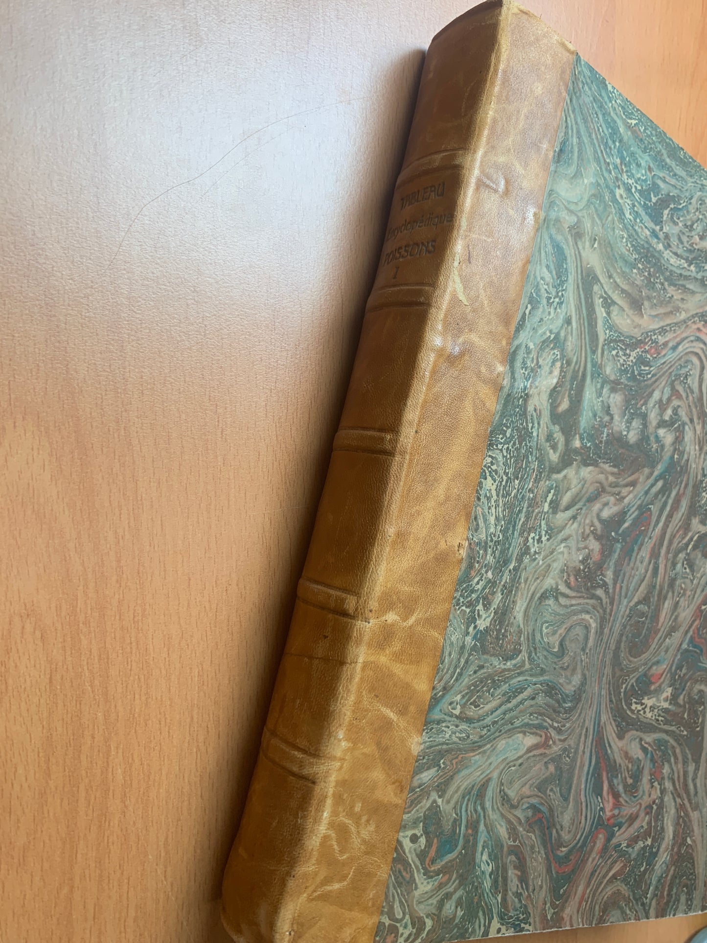 Ichthyologie - Poissons - Tableau encyclopédique - Abbé Bonnaterre - 1788