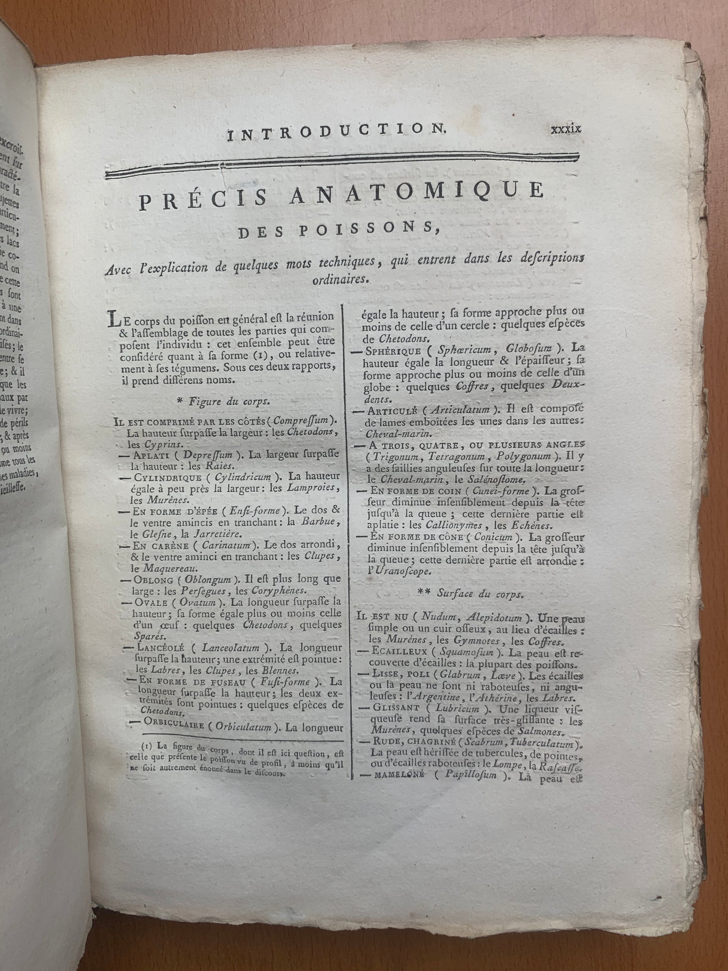 Ichthyologie - Poissons - Tableau encyclopédique - Abbé Bonnaterre - 1788