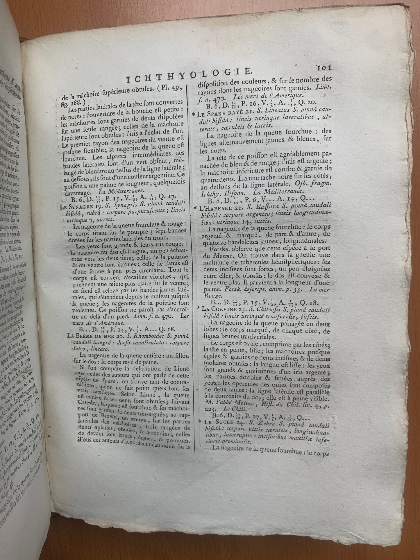 Ichthyologie - Poissons - Tableau encyclopédique - Abbé Bonnaterre - 1788