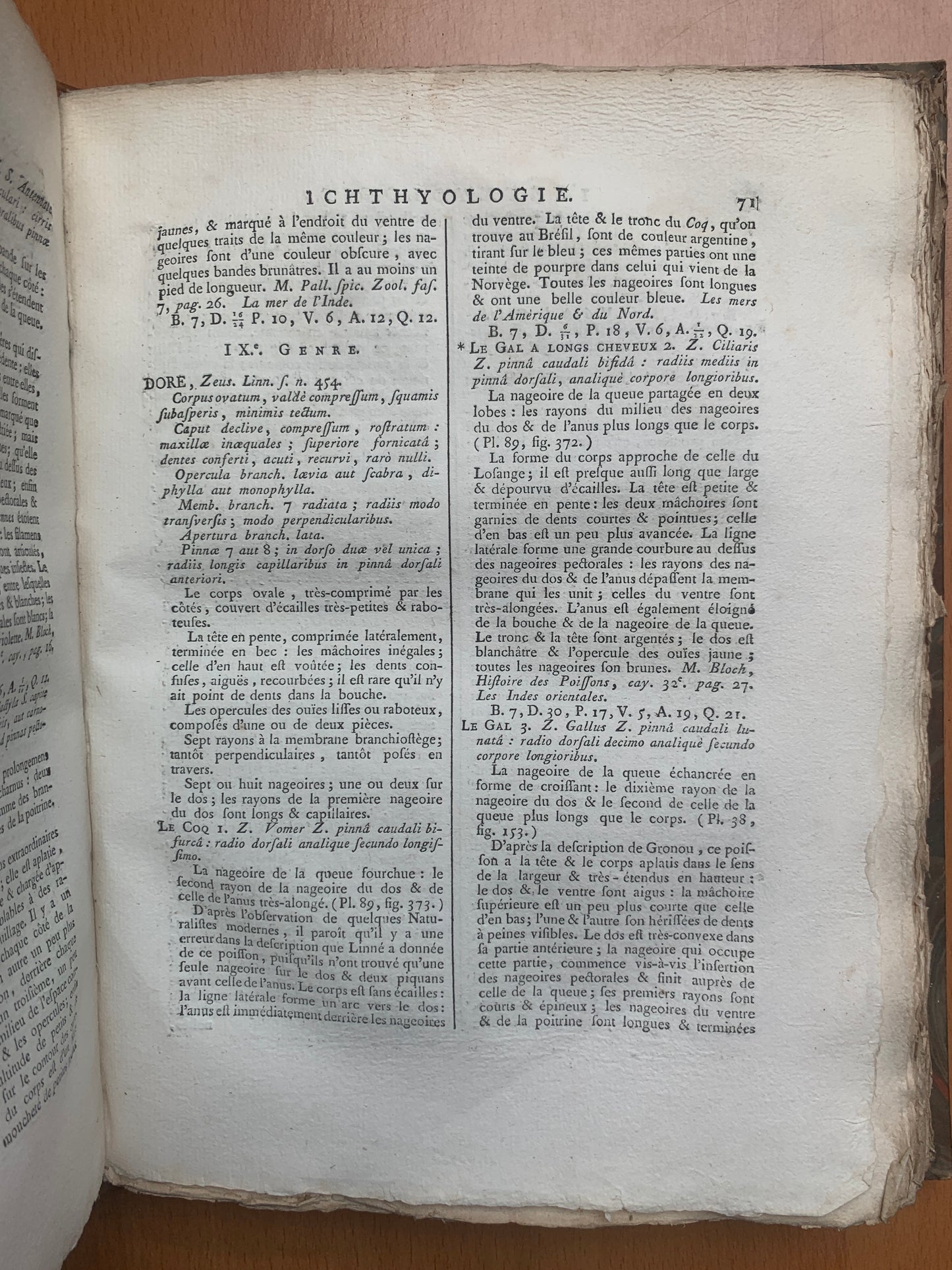 Ichthyologie - Poissons - Tableau encyclopédique - Abbé Bonnaterre - 1788