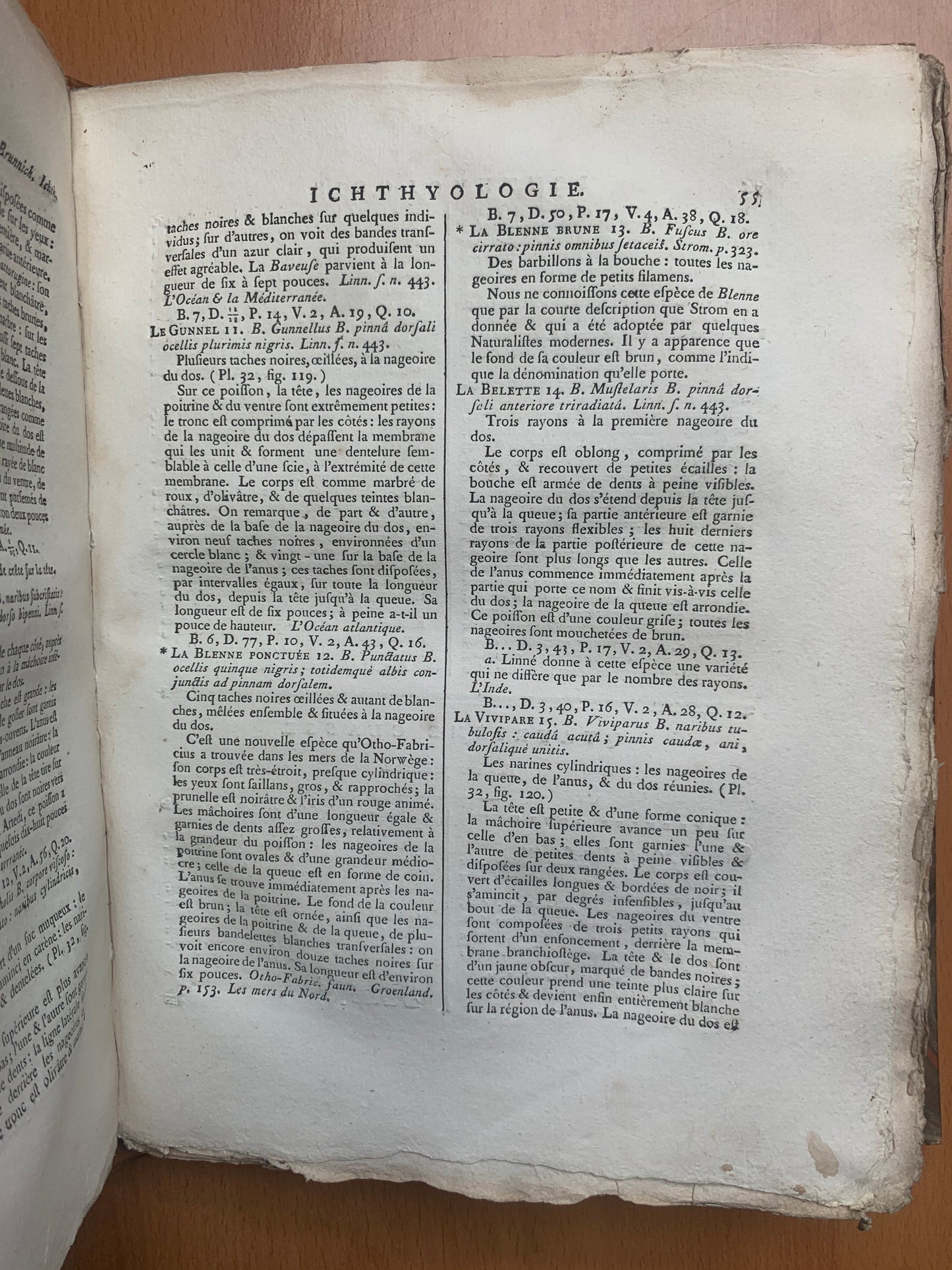 Ichthyologie - Poissons - Tableau encyclopédique - Abbé Bonnaterre - 1788