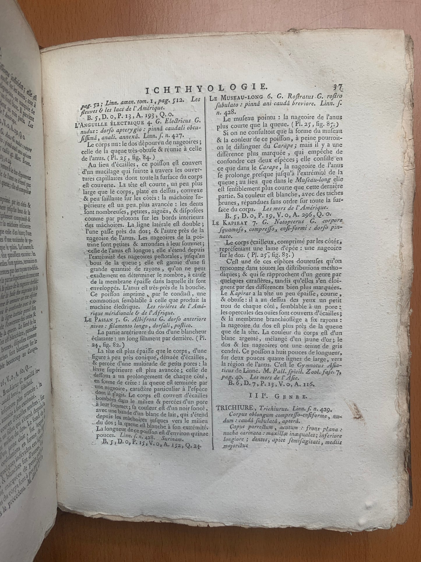 Ichthyologie - Poissons - Tableau encyclopédique - Abbé Bonnaterre - 1788